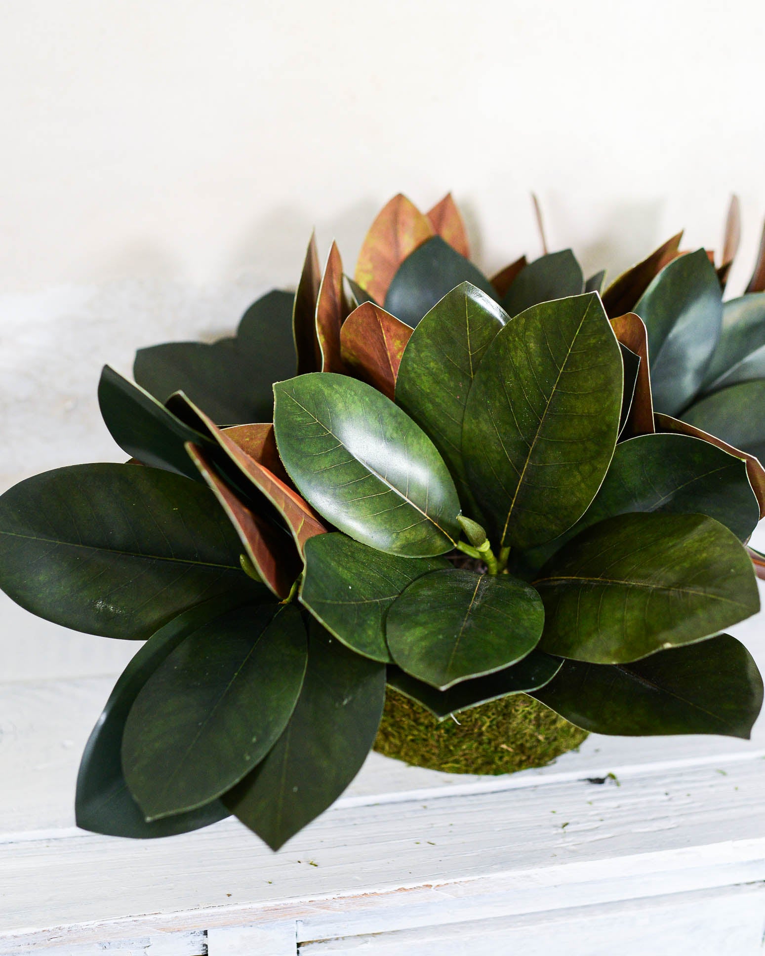 Magnolia Leaf Greenery Centerpiece Drop-In