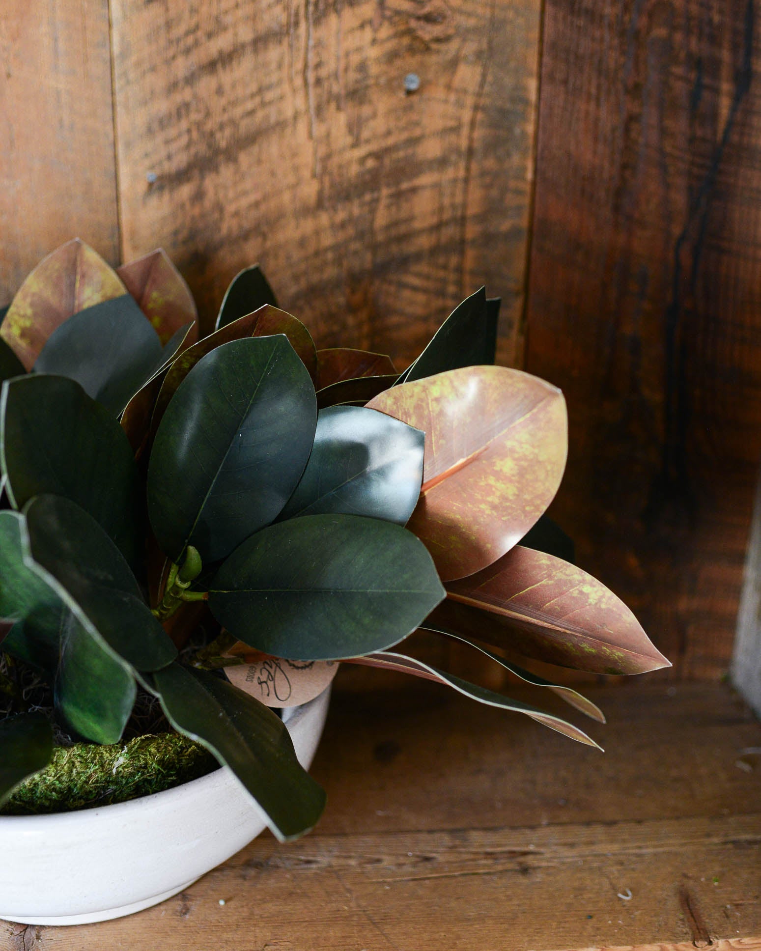 Magnolia Leaf Greenery Centerpiece Drop-In