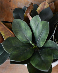 Magnolia Leaf Greenery Centerpiece Drop-In