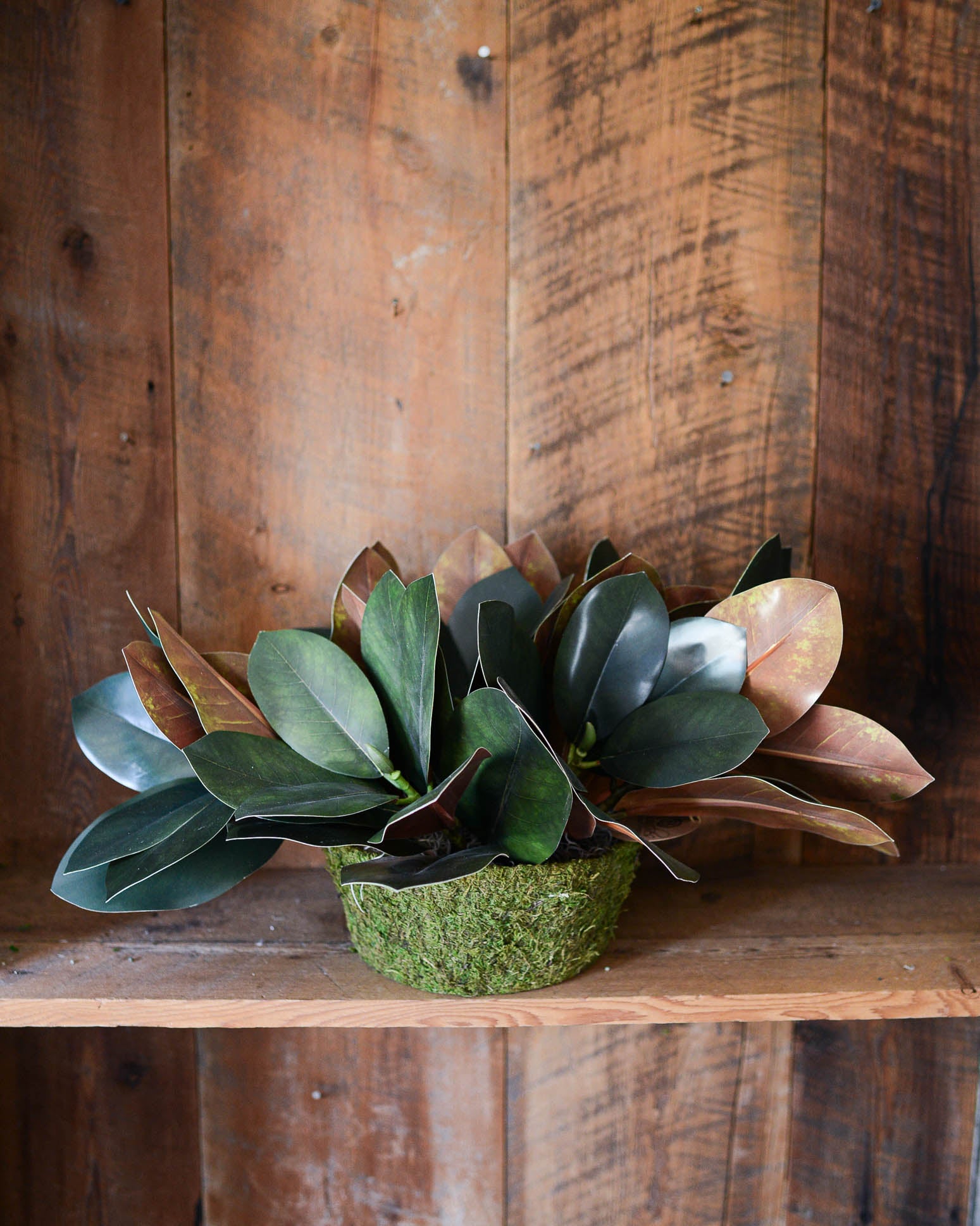 Magnolia Leaf Greenery Centerpiece Drop-In