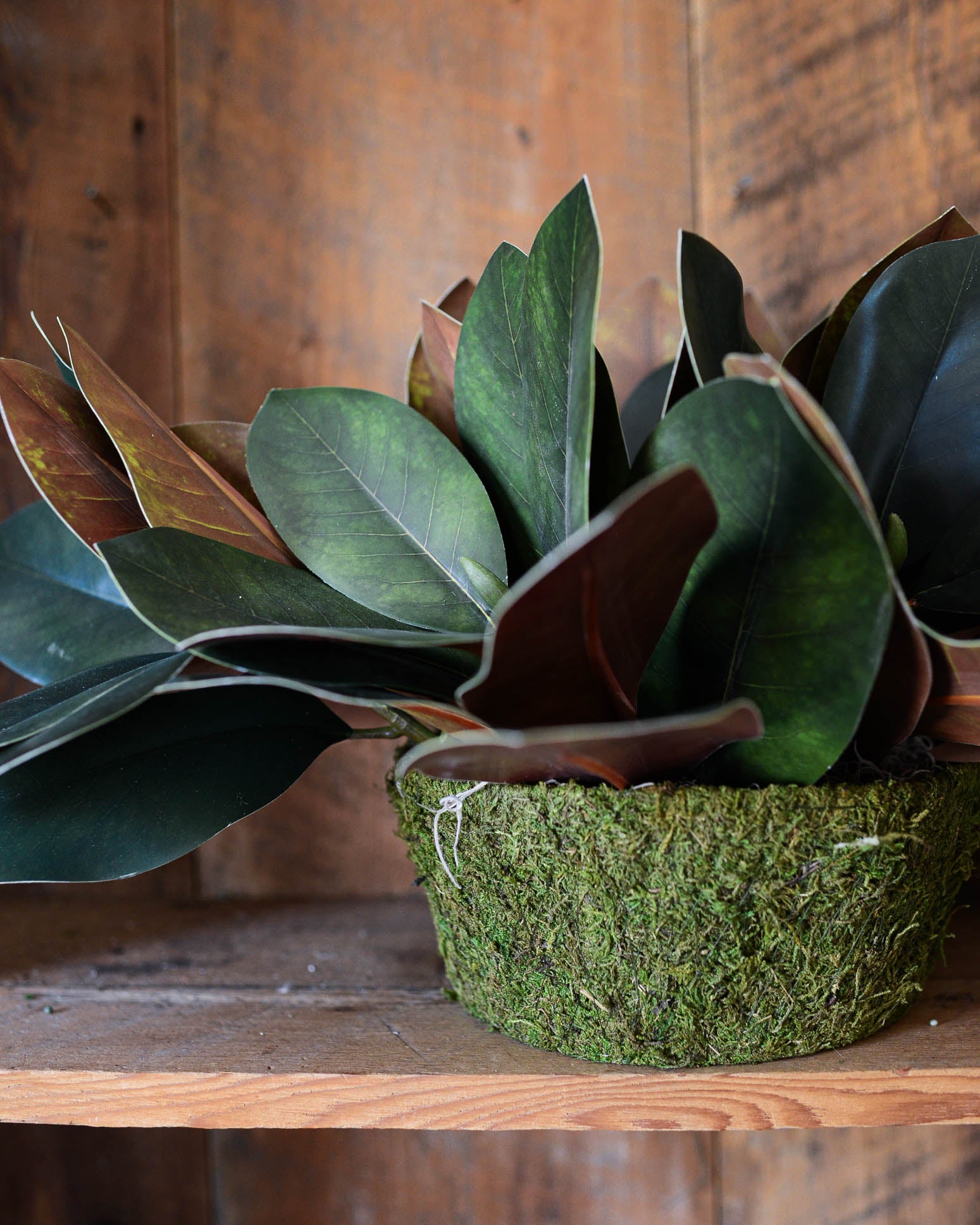 Magnolia Leaf Greenery Centerpiece Drop-In