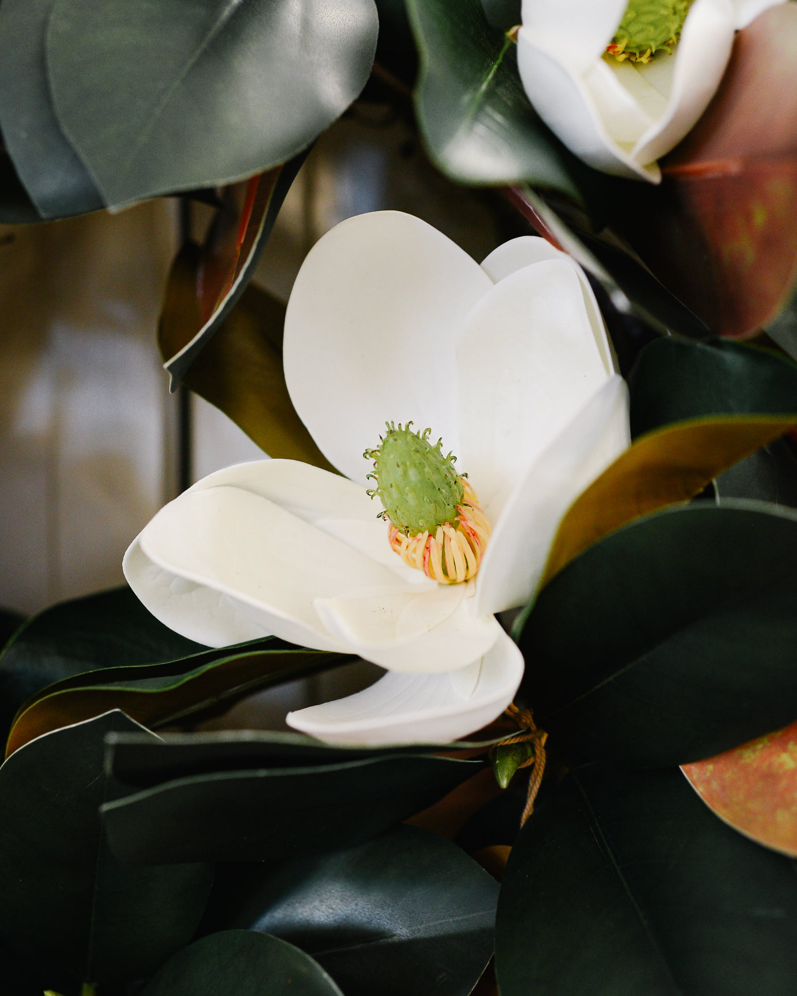 Classic Magnolia Wreath with Blooms