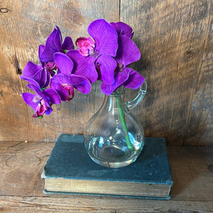 Phalaenopsis Dark Purple in Glass with Handle