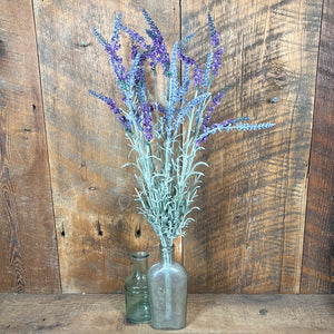 English Lavender Bush