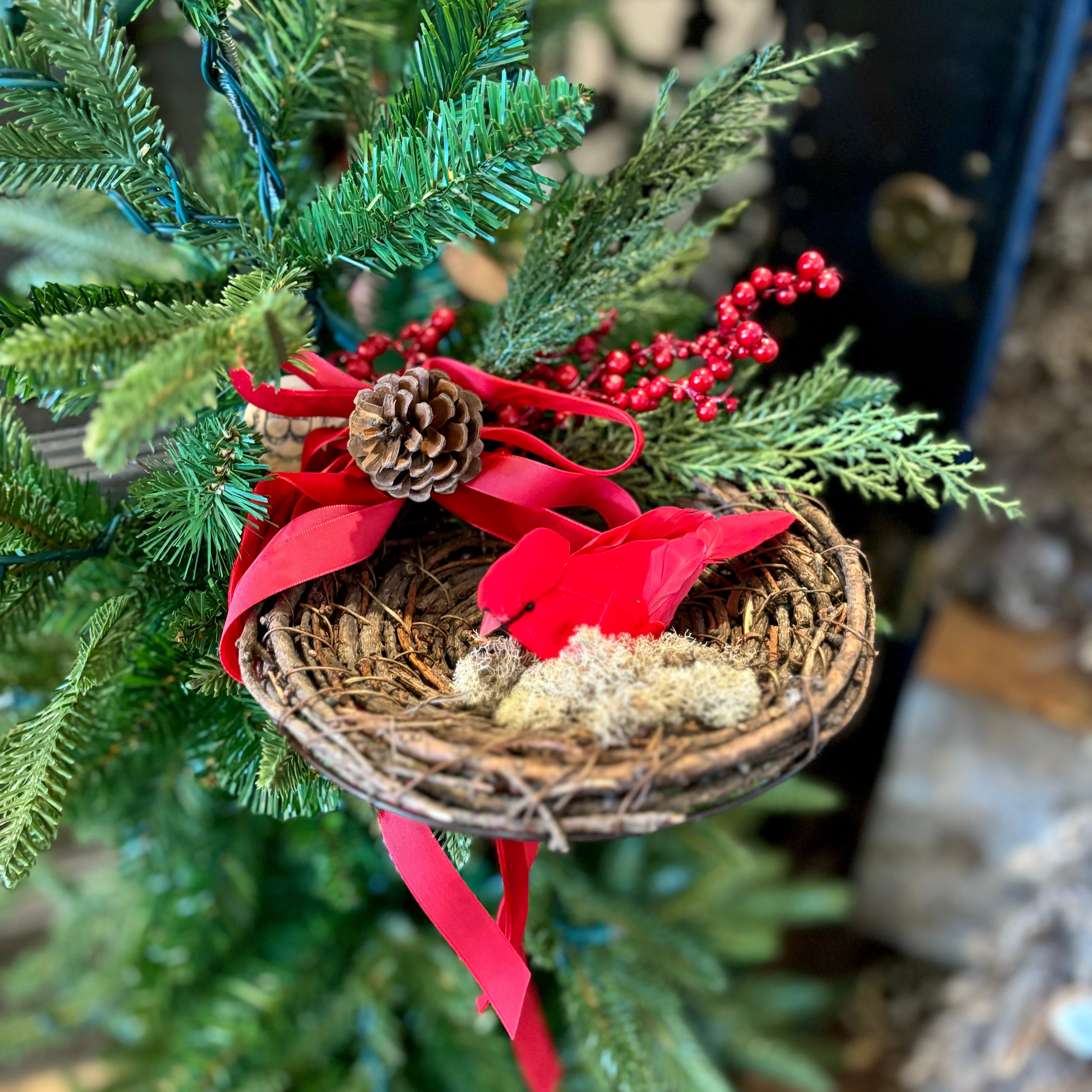 Red Cardinal in Holiday Nest