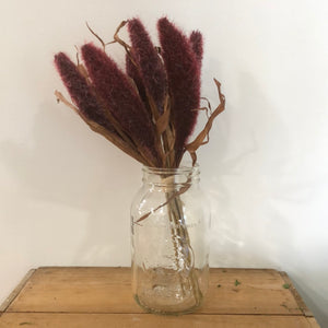 Tassel Weed Burgundy Bundle