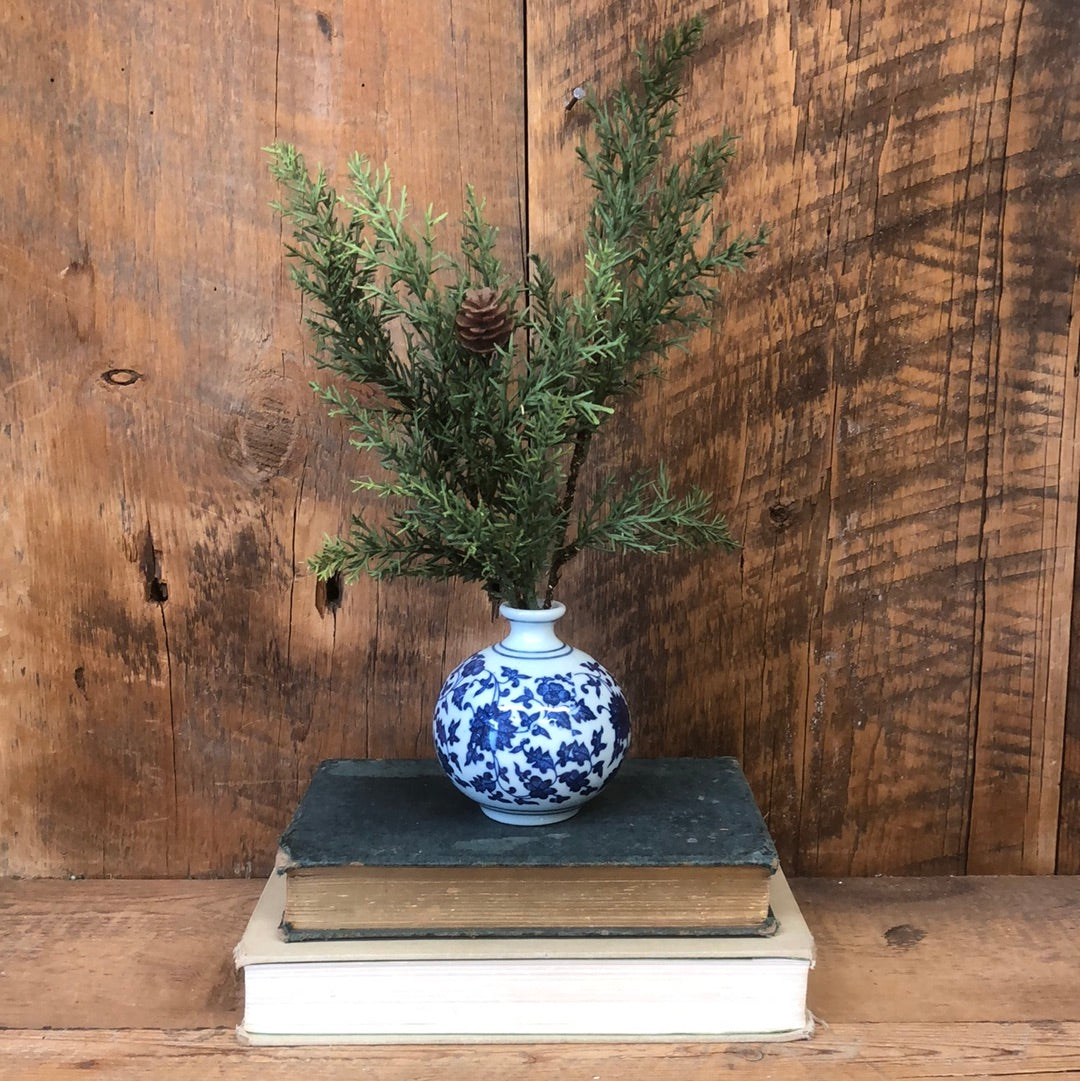 Austrian Pine in Blue White Porcelain Mini Vase