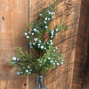 Juniper Spray with Berries
