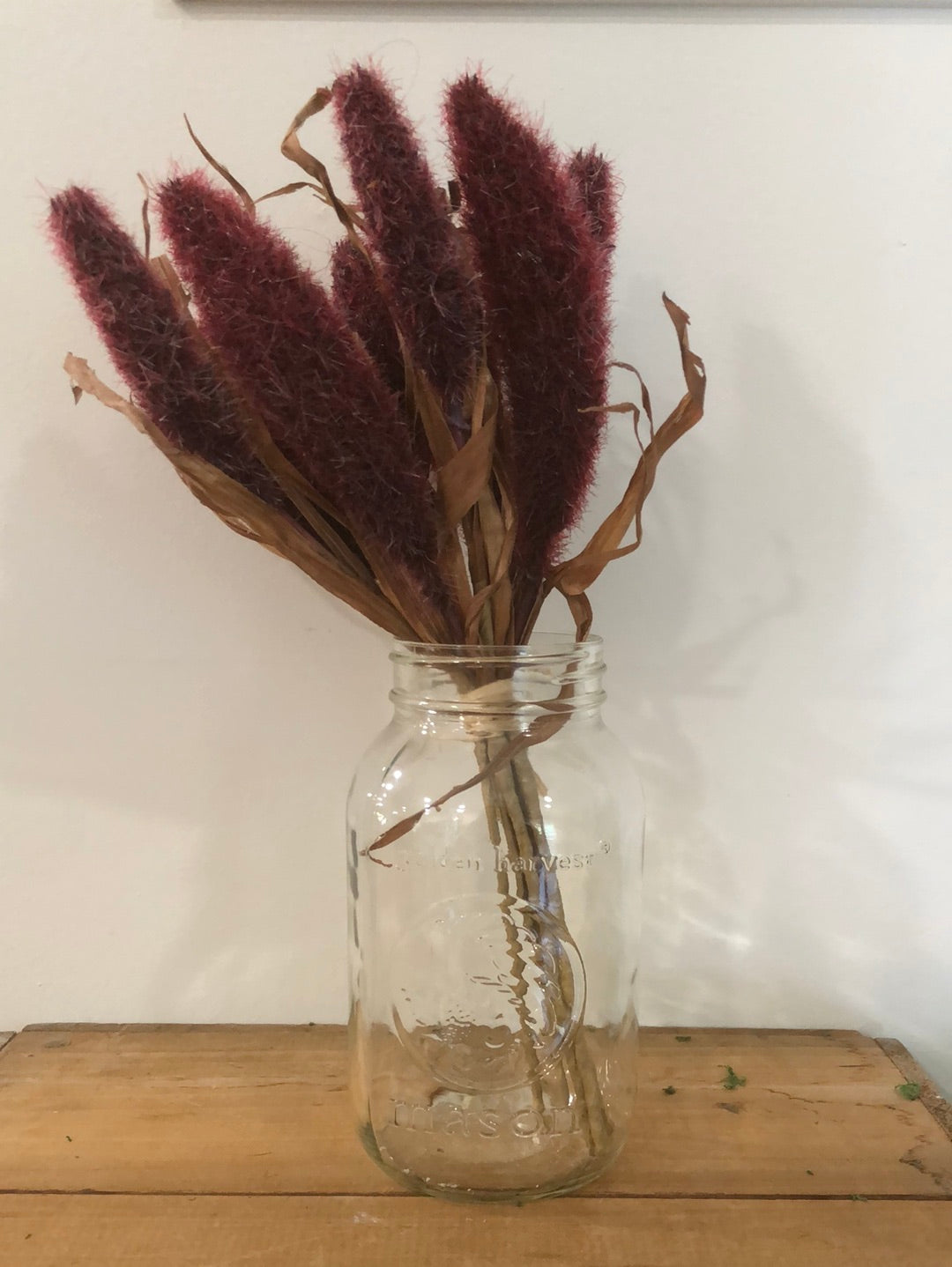 Tassel Weed Burgundy Bundle