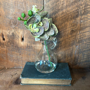 Phalaenopsis Green in Glass with Handle