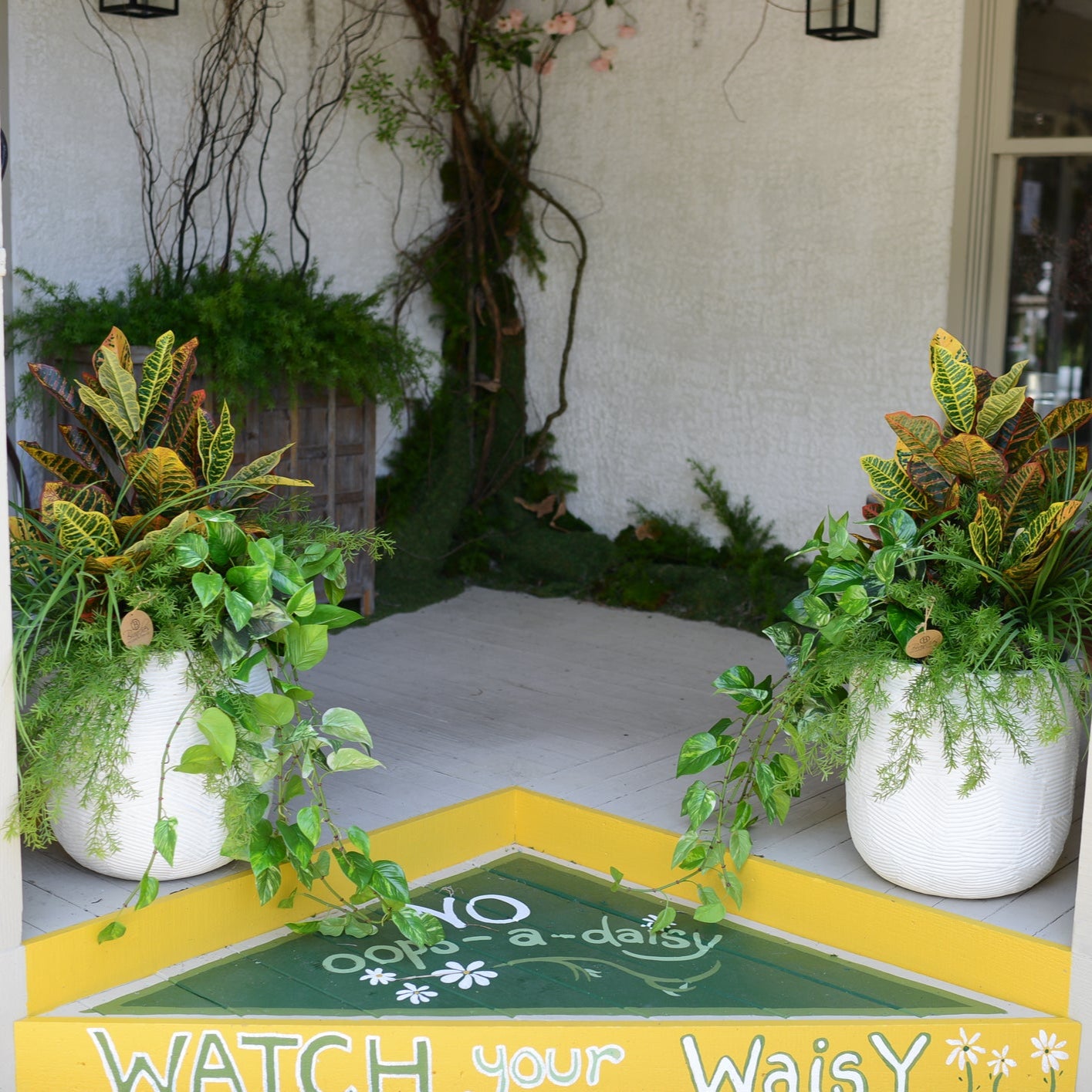 Mixed Greens and Croton Planter Drop In