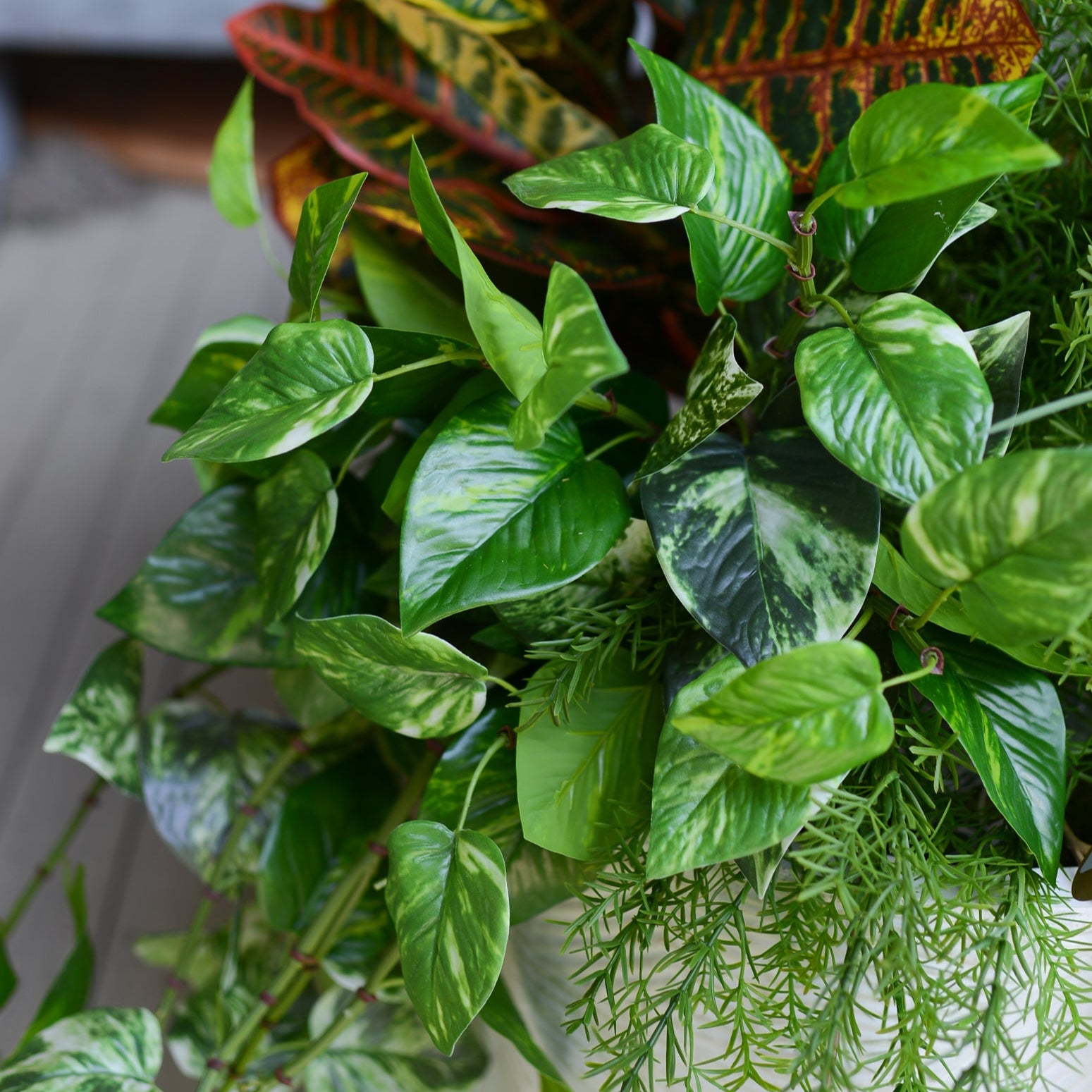 Mixed Greens and Croton Planter Drop In