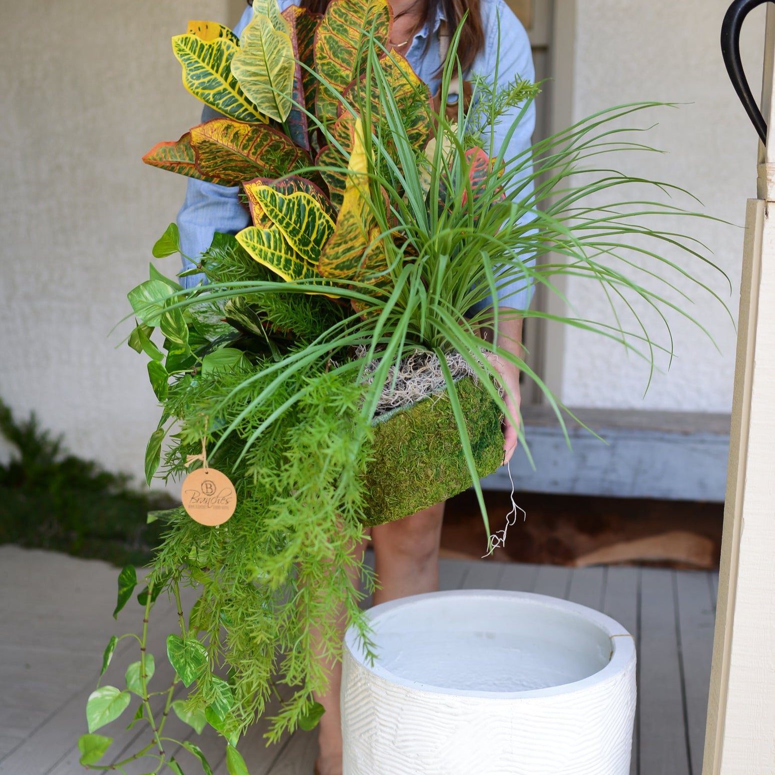 Mixed Greens and Croton Planter Drop In