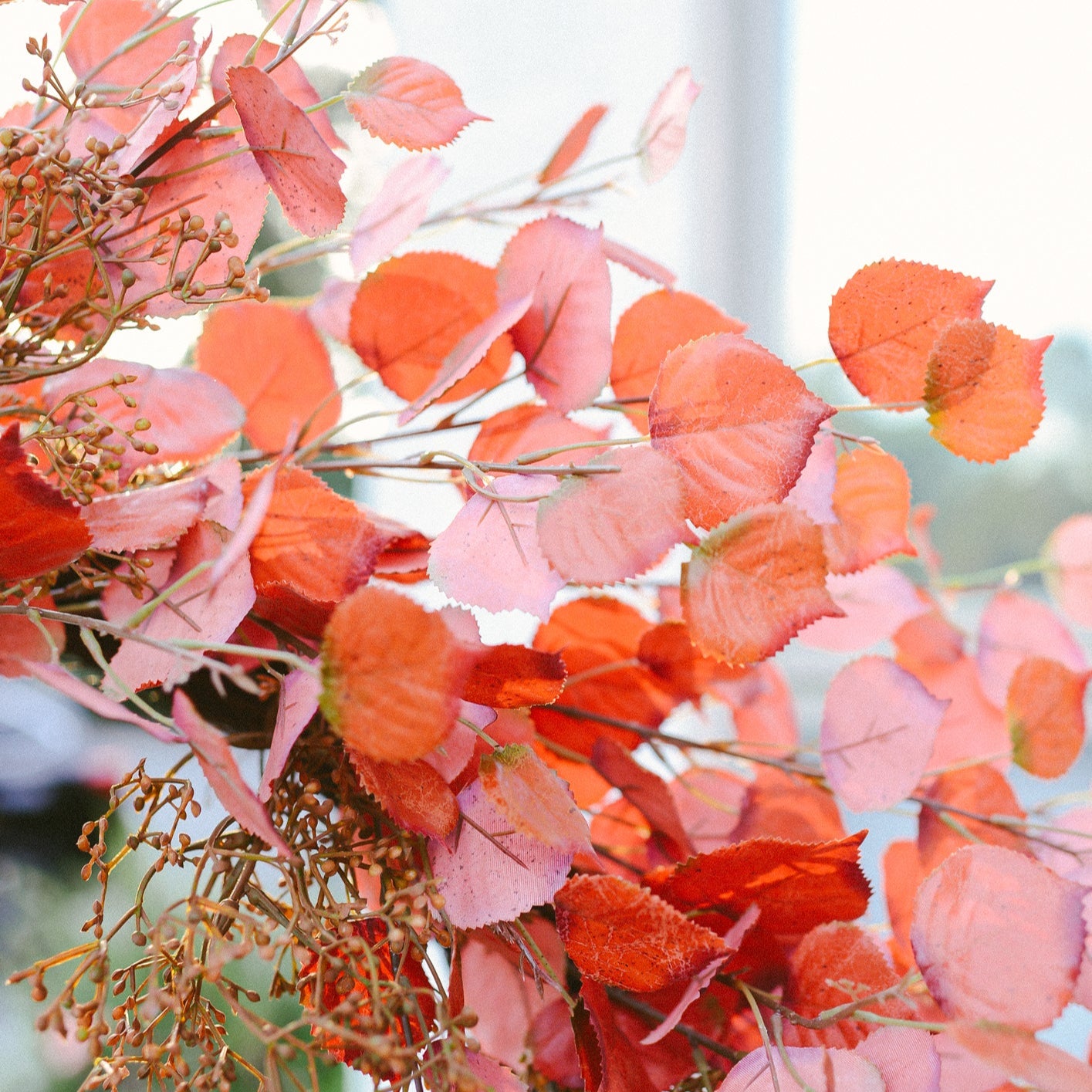 Poplar Leaf Wreath