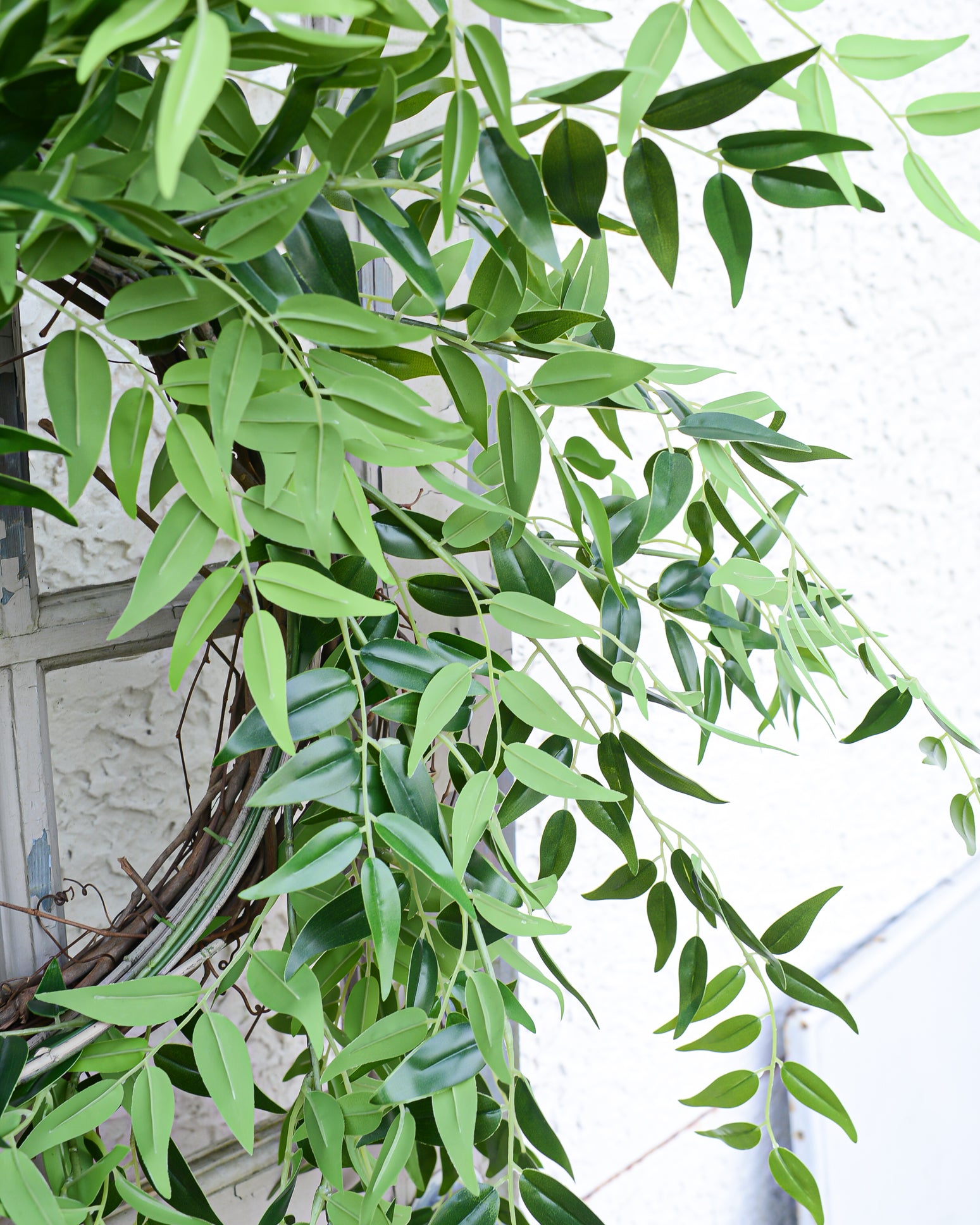 Italian Ruscus Wreath