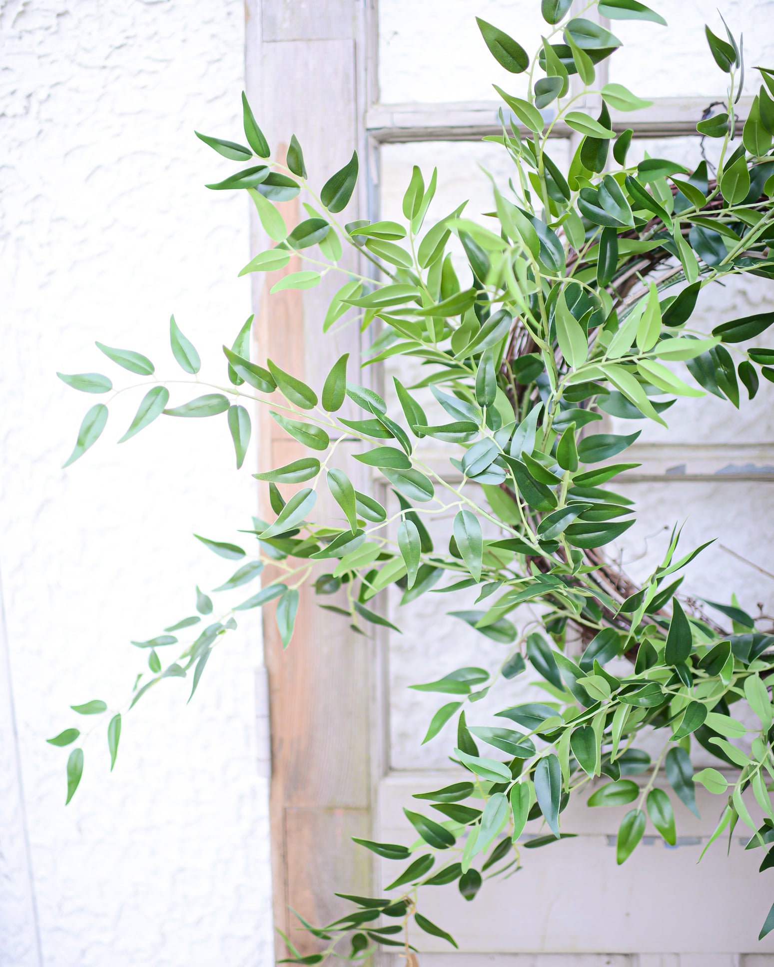 Italian Ruscus Wreath