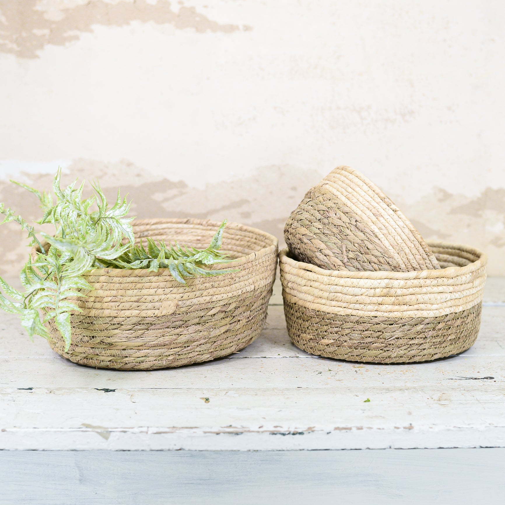 Two-Toned Tan Woven Basket Dish Garden Planter Large