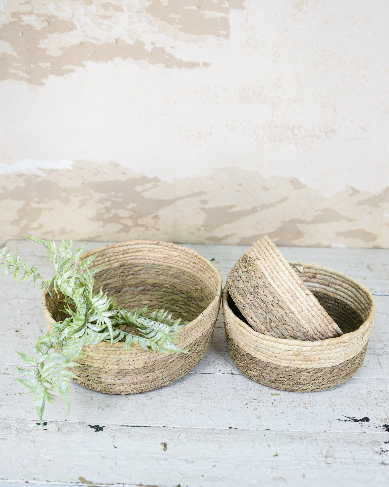 Two-Toned Tan Woven Basket Dish Garden Planter Large