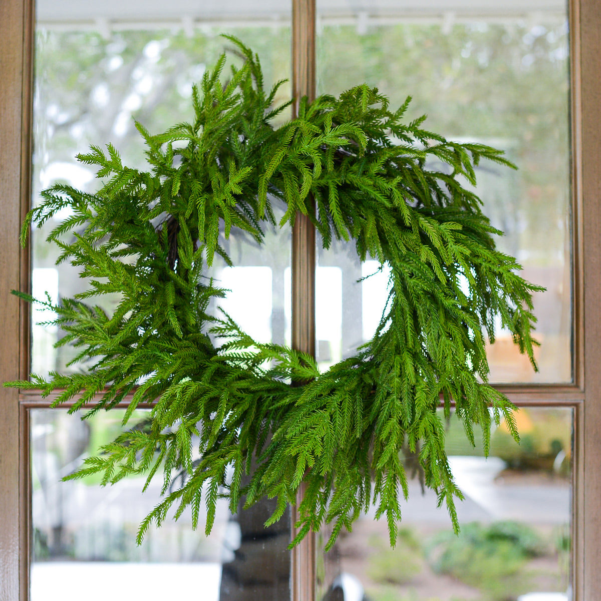 24"D Norfolk Pine Wreath Soft Touch