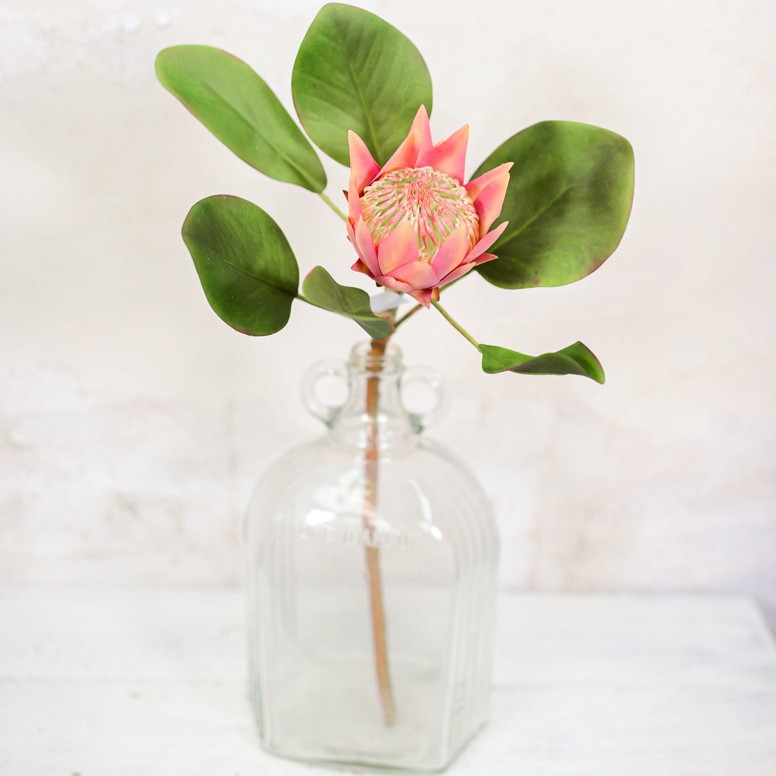 King Protea Mauve Bloom Stem