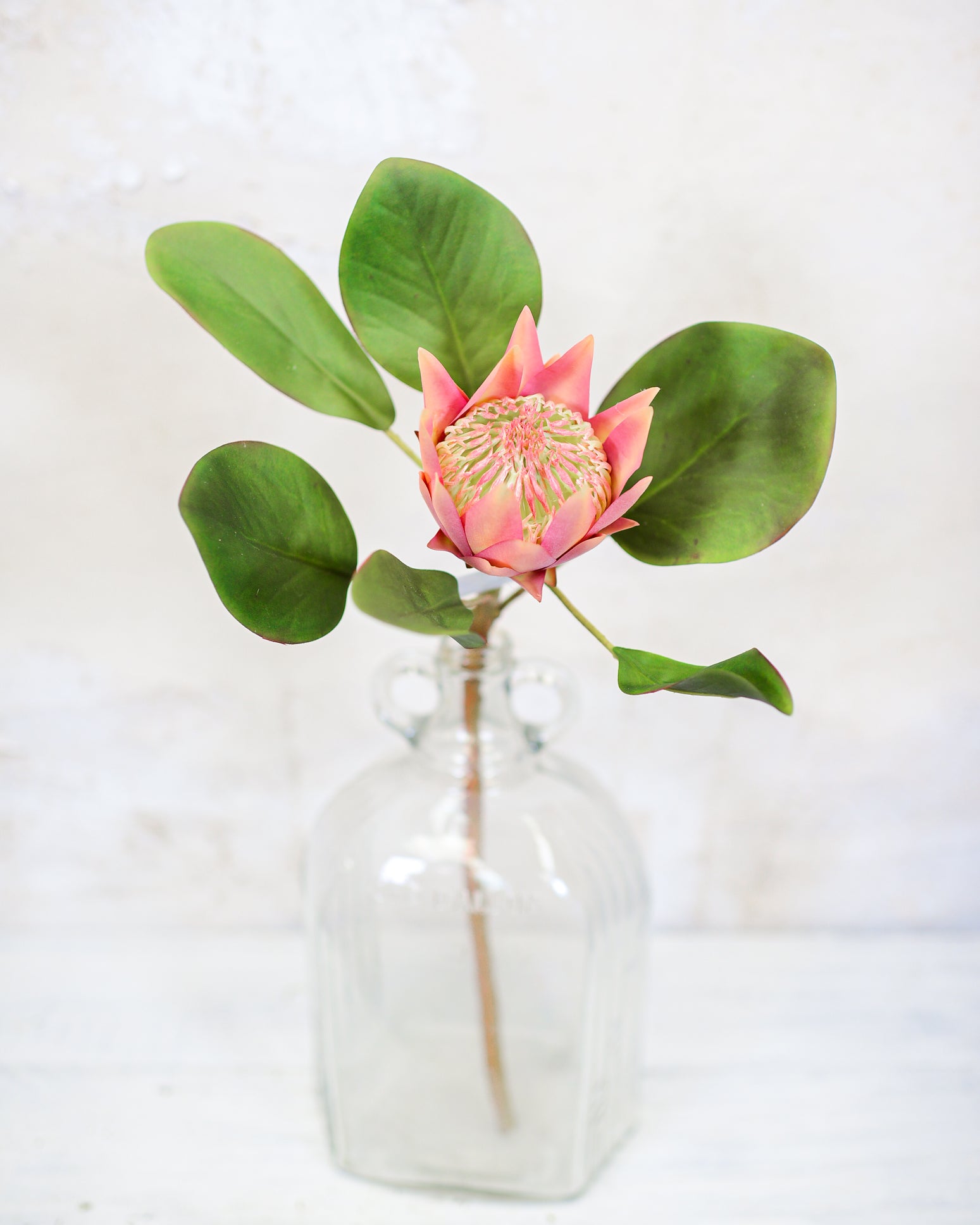 King Protea Mauve Bloom Stem