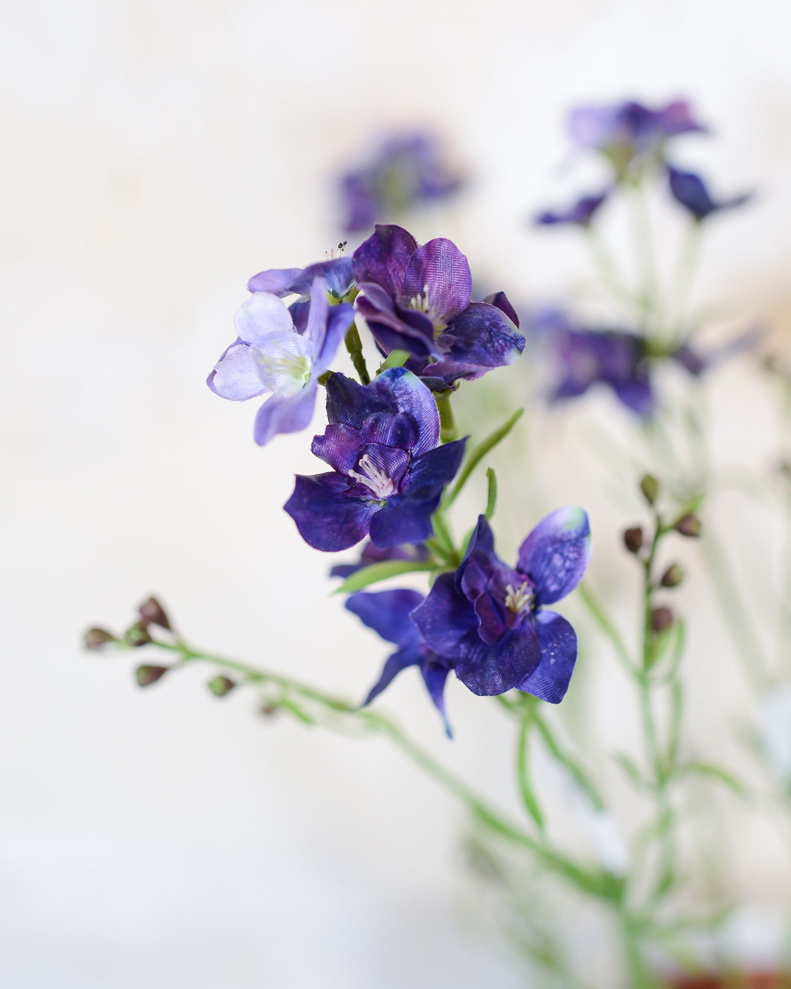 Larkspur Purple Blue Spray Stem