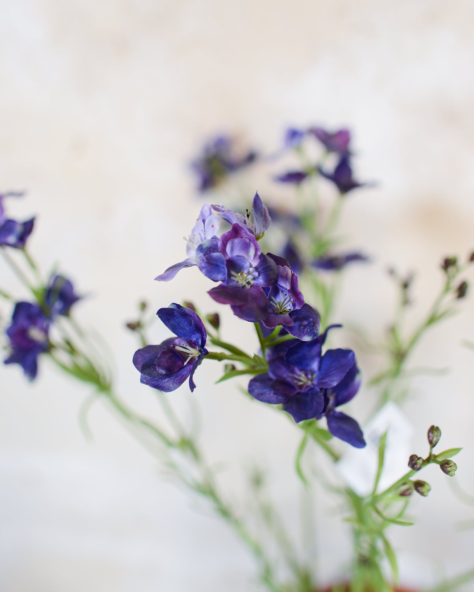 Larkspur Purple Blue Spray Stem