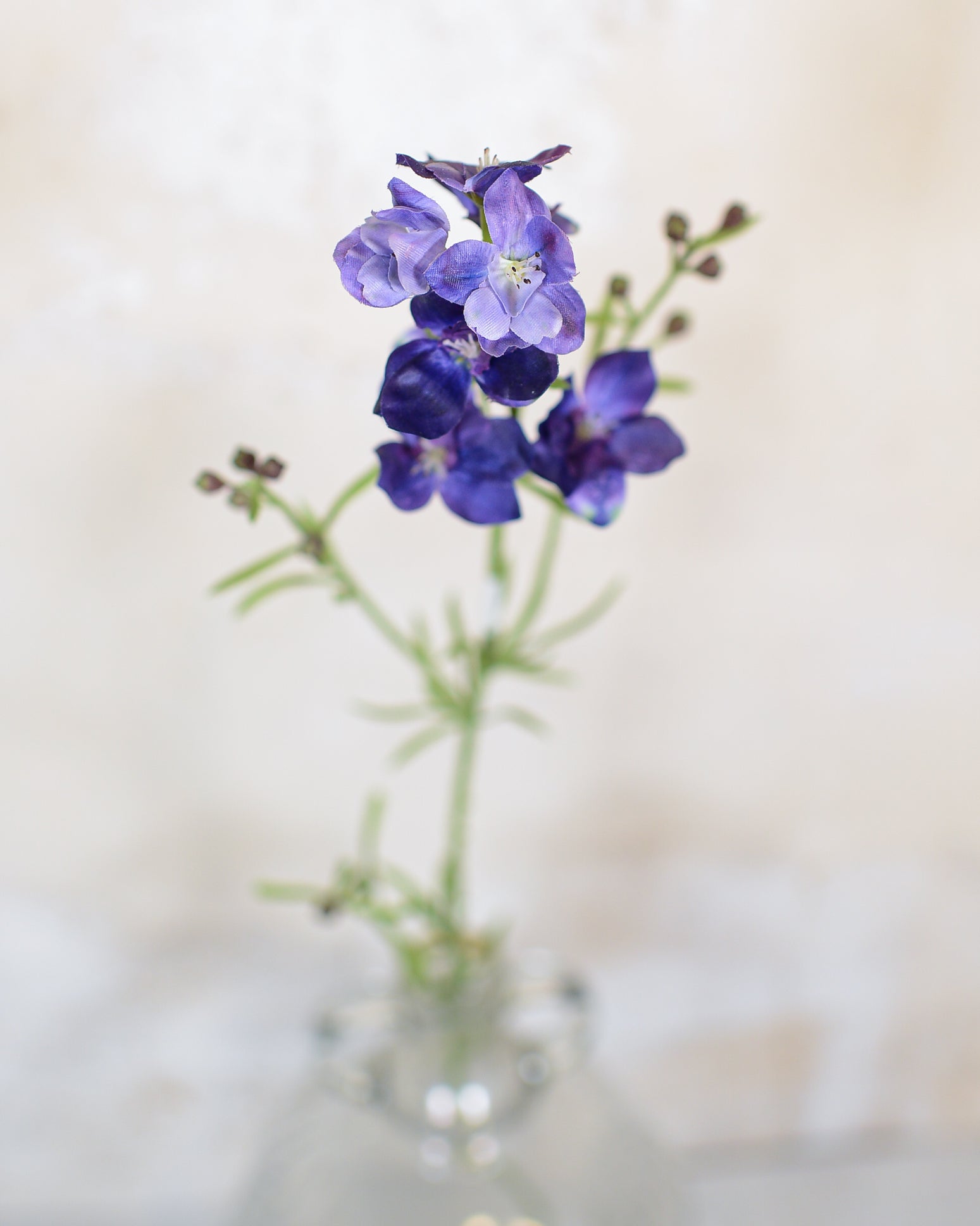 Larkspur Purple Blue Spray Stem