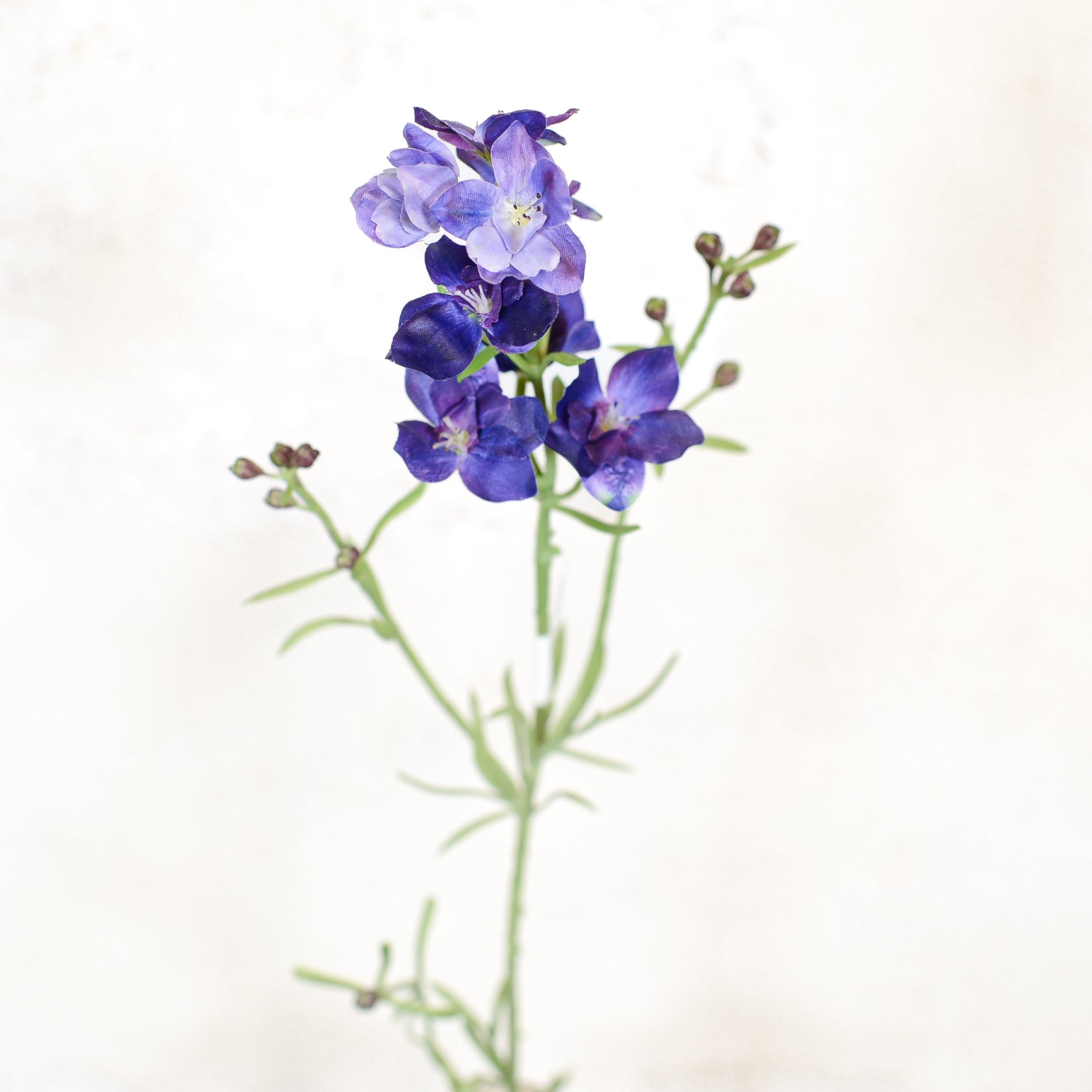 Larkspur Purple Blue Spray Stem