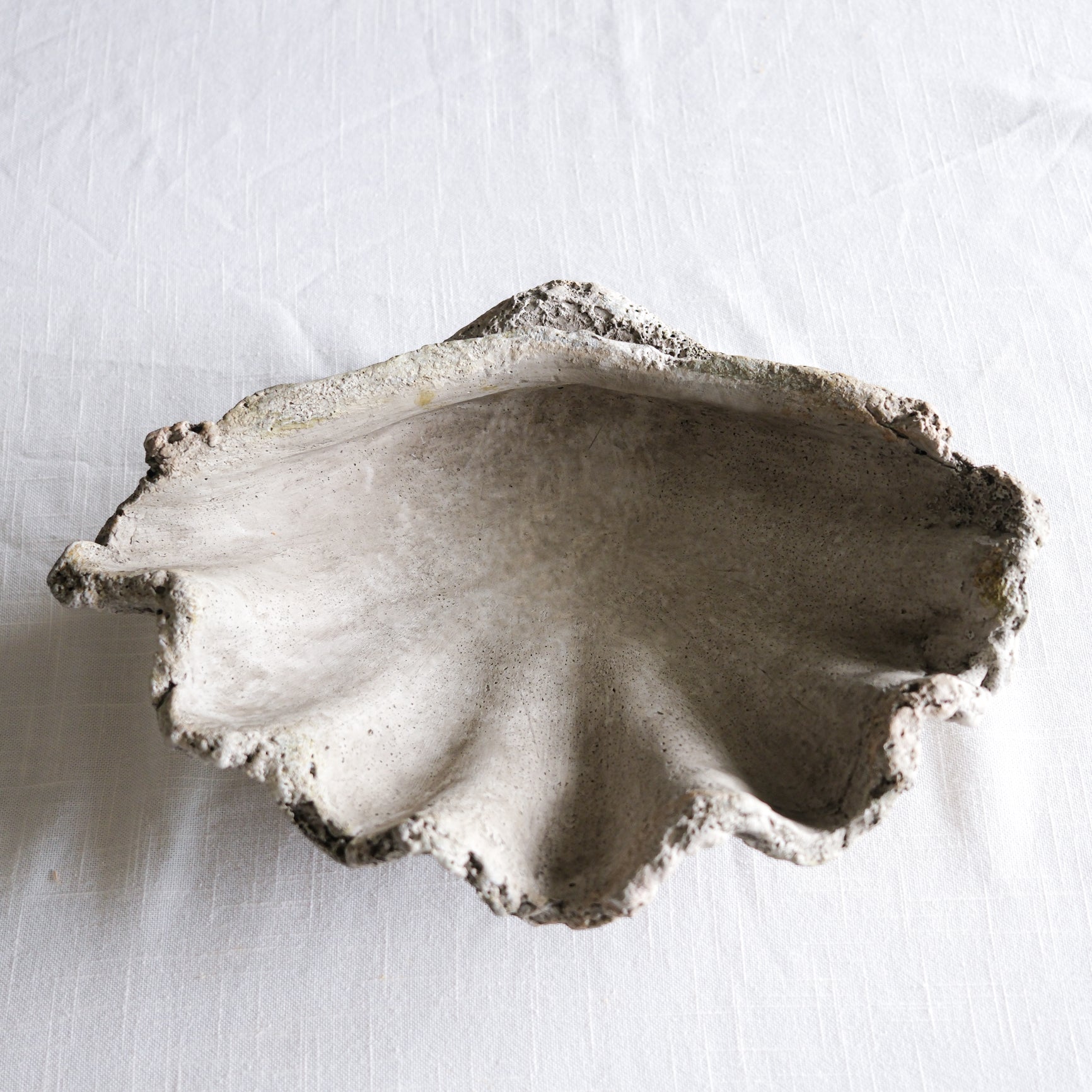 Stone Grey Clamshell Planter