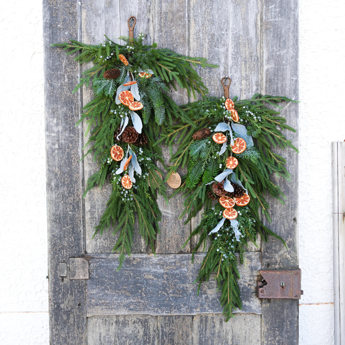 Orange Grove Evergreen Down Drop