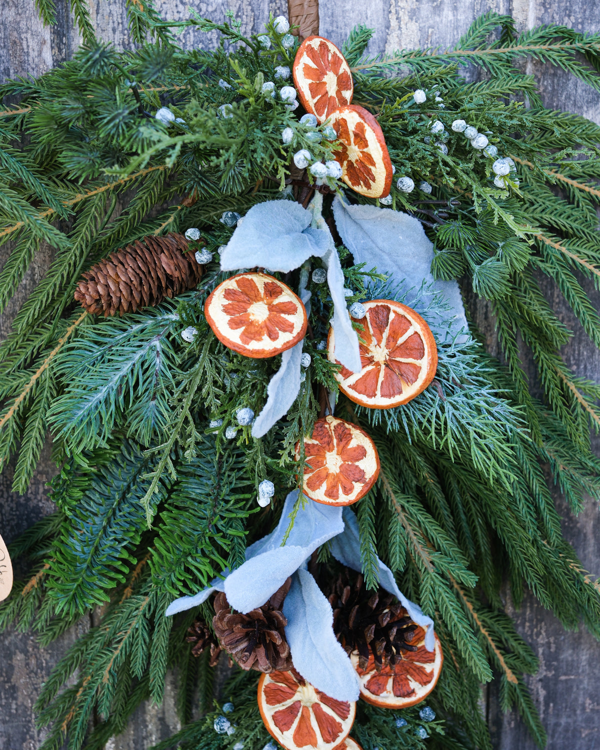 Orange Grove Evergreen Down Drop