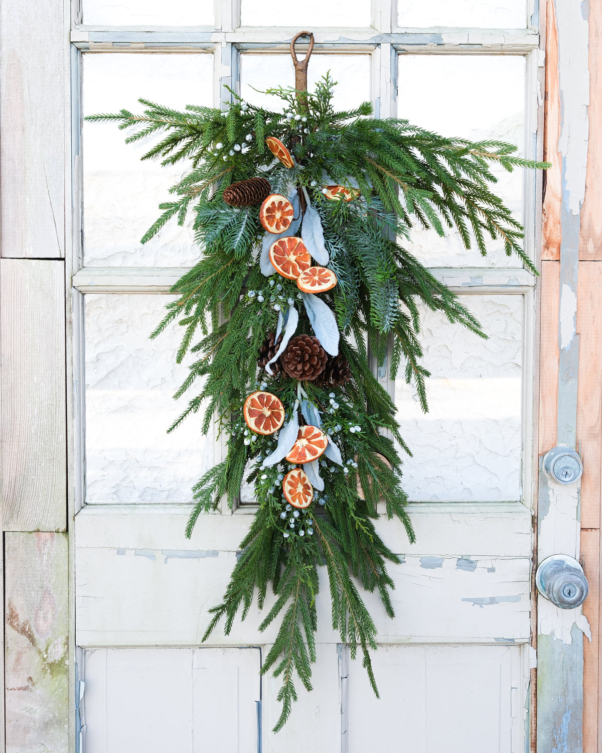 Orange Grove Evergreen Down Drop