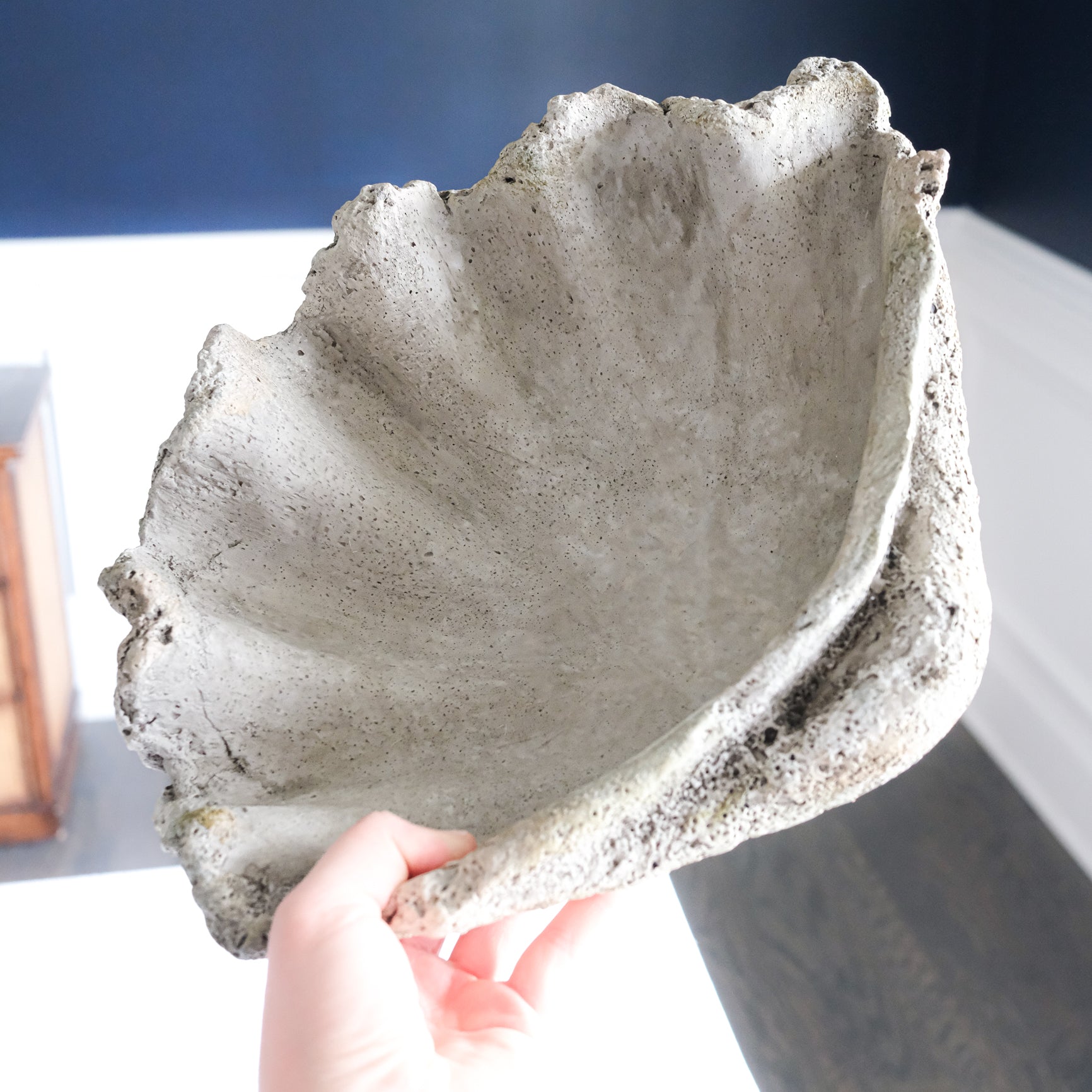 Stone Grey Clamshell Planter