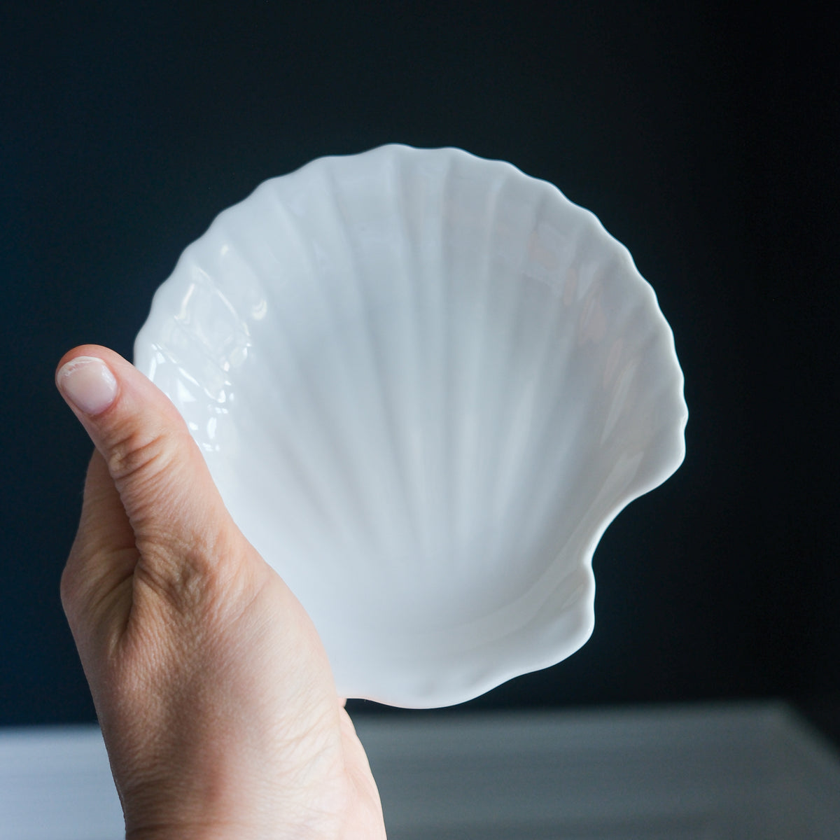 Set of 6 Petite White Ceramic Shell Dishes