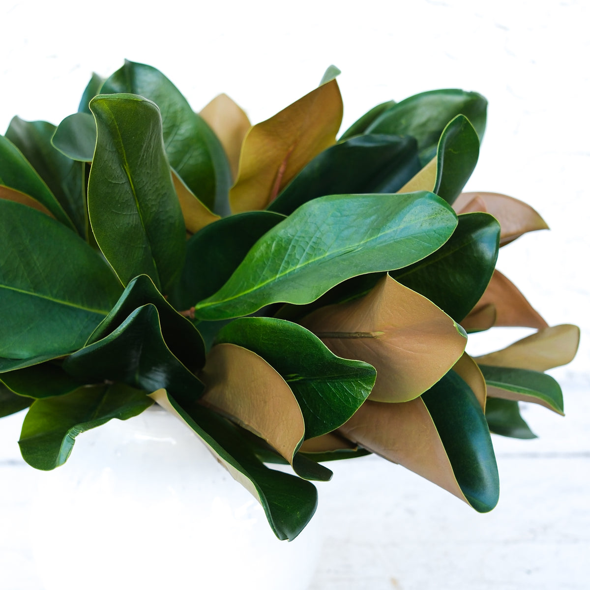 Magnolia Leaf Spray Natural Touch 16”H
