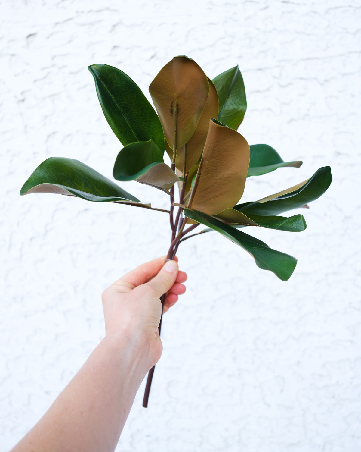 Magnolia Leaf Spray Natural Touch 16”H