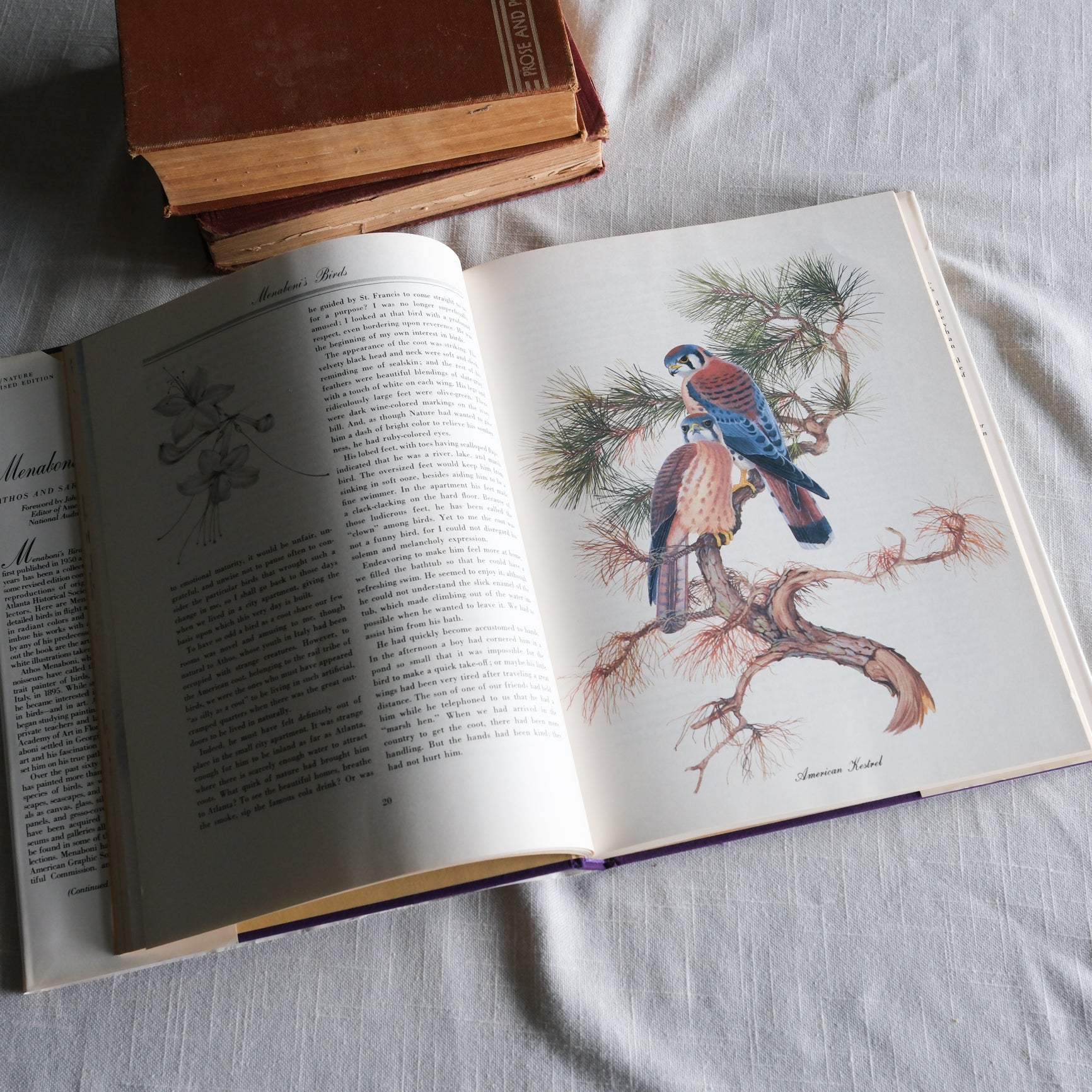 Vintage Menboni's Birds Coffee Table Book (Revised Edition 1984)