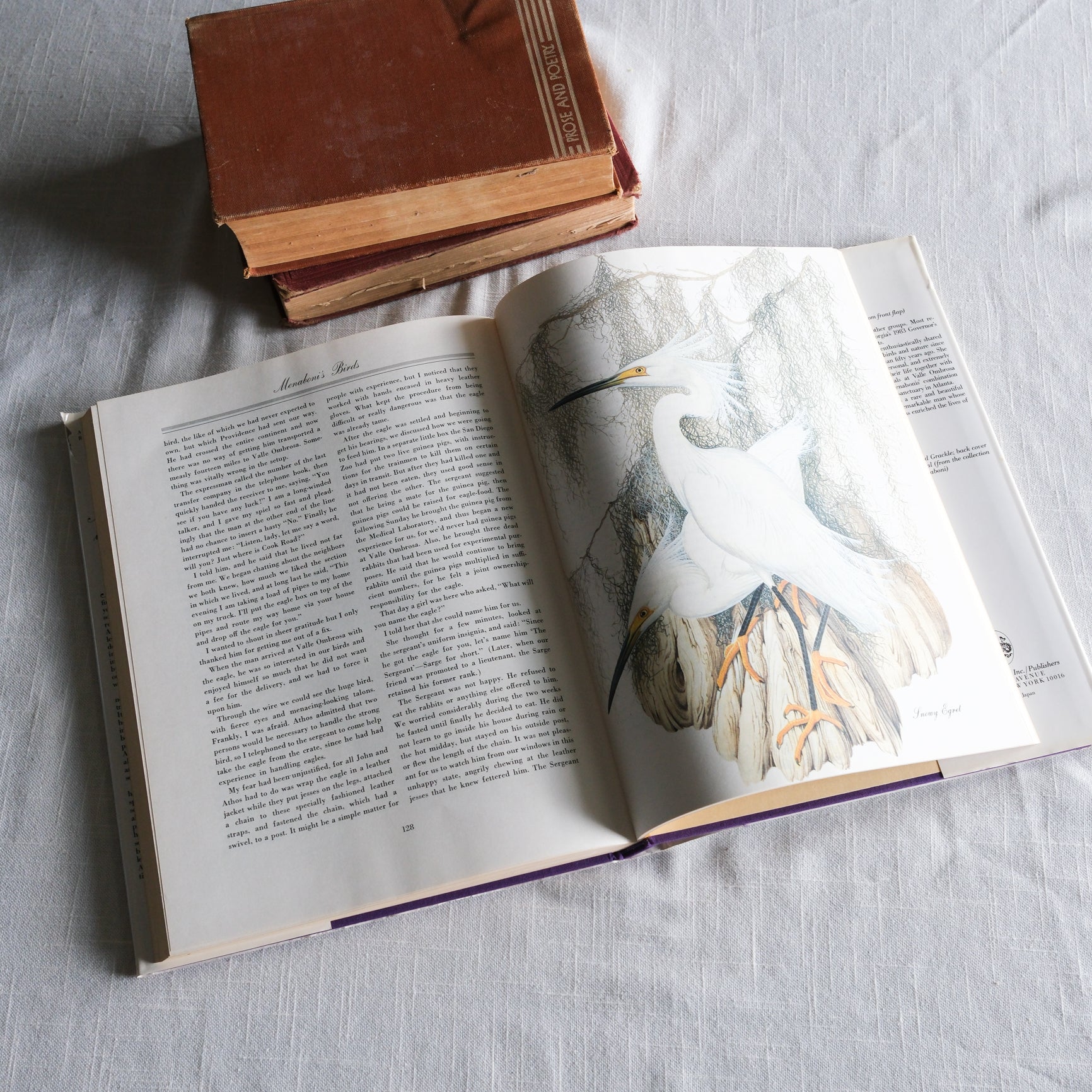 Vintage Menboni's Birds Coffee Table Book (Revised Edition 1984)