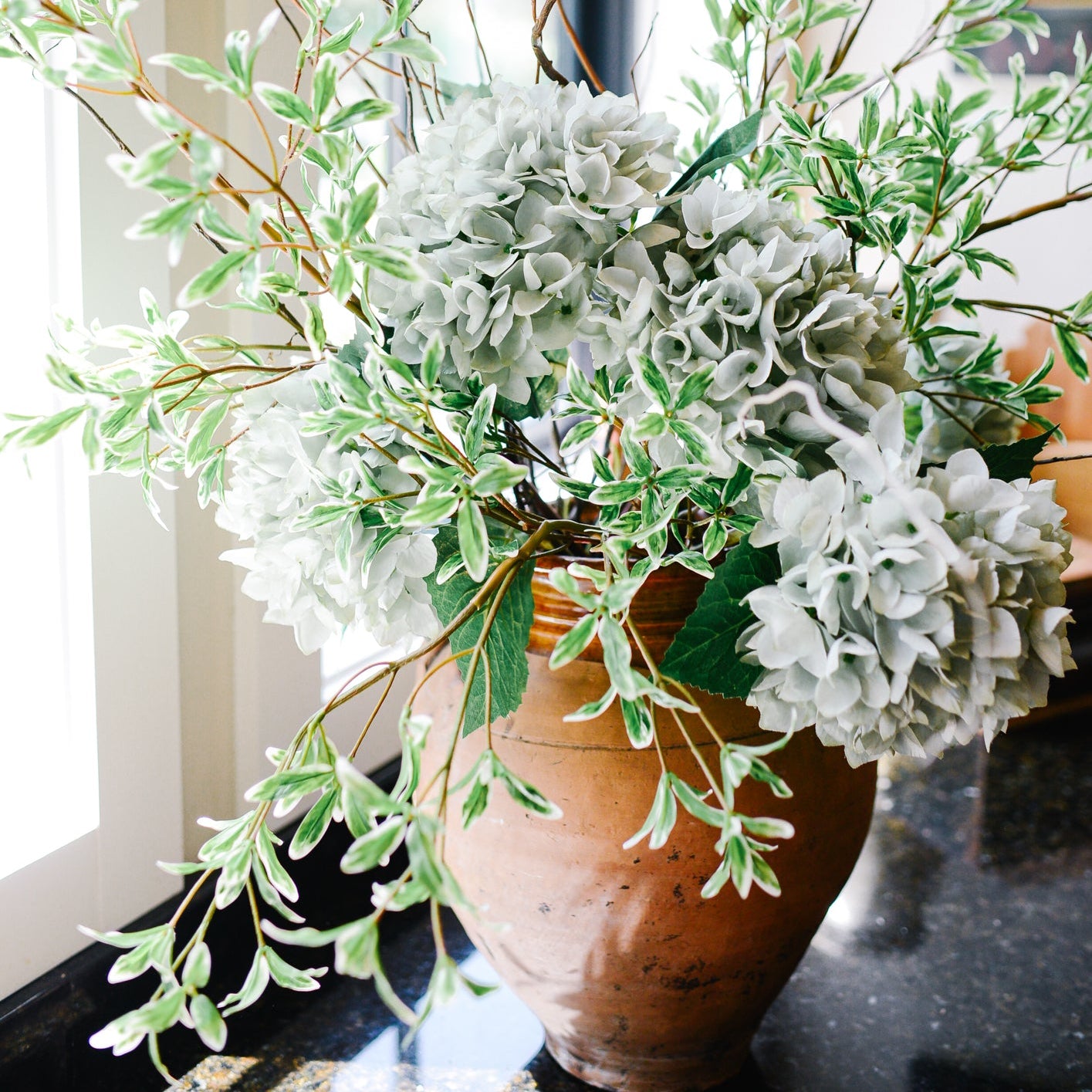 Blue-Gray Hydrangea Stem
