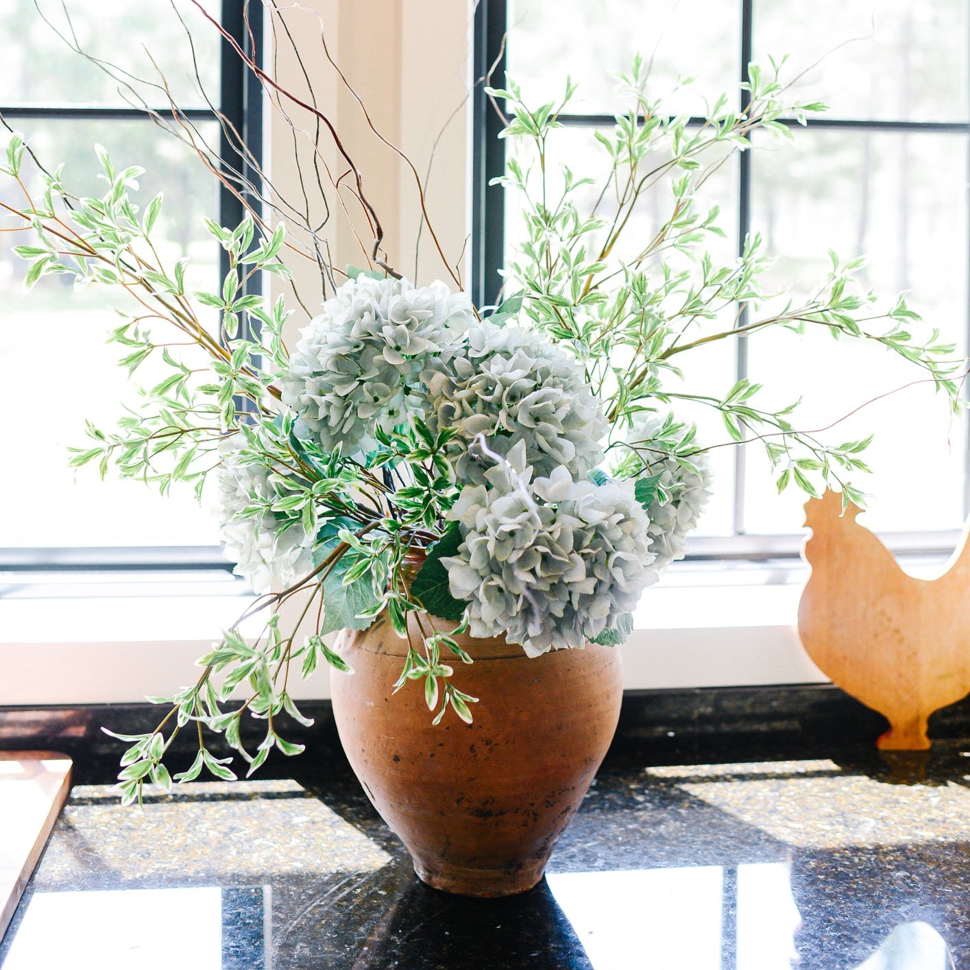 Blue-Gray Hydrangea Stem