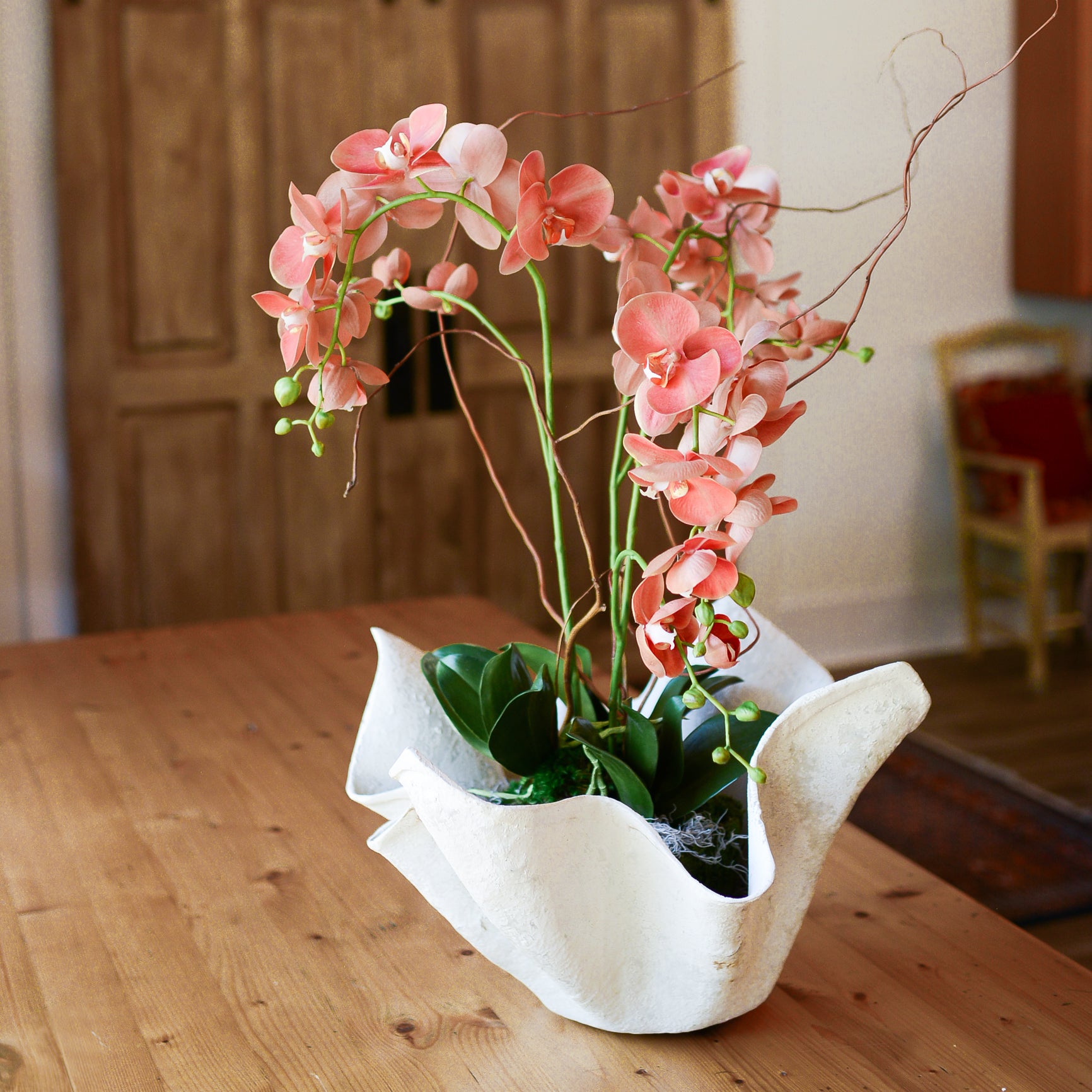 Triple Coral Phalaenopsis Orchid Drop In