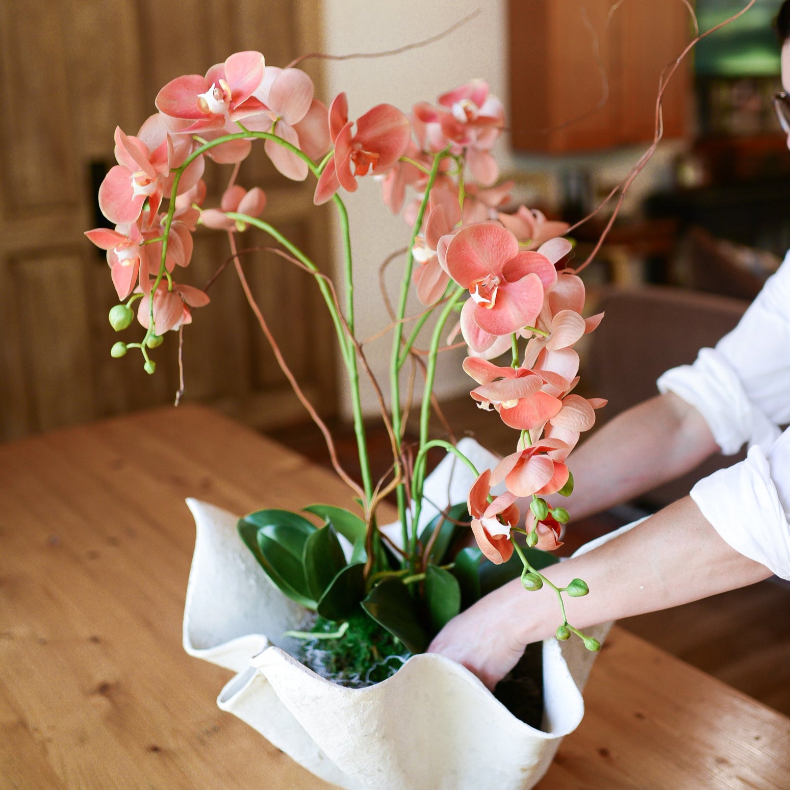Triple Coral Phalaenopsis Orchid Drop In