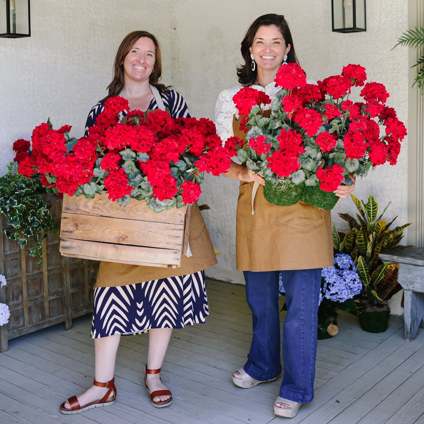 Red Geranium Bush Stem with Nine Blooms