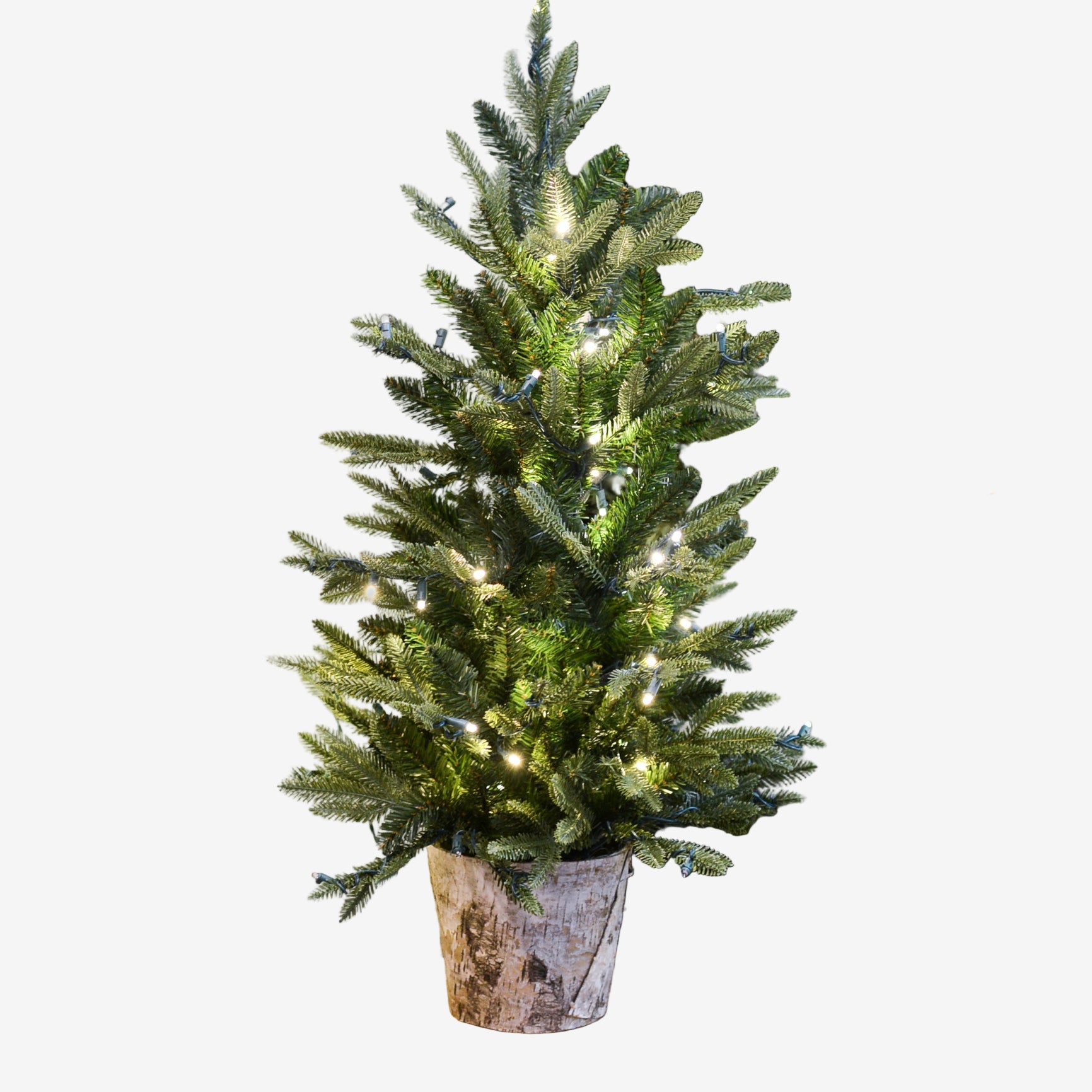 Decorative Christmas trees with lights and wreaths on a white wall.