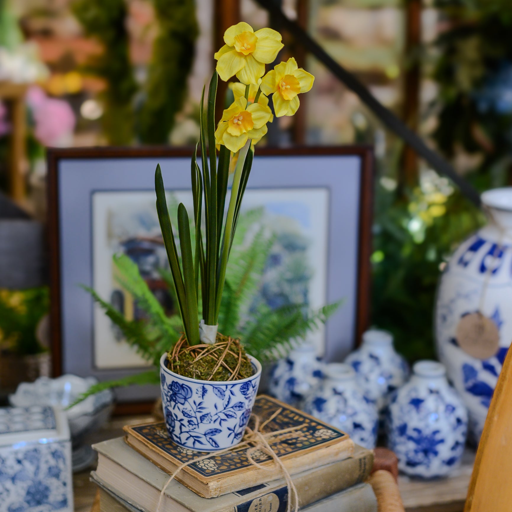 Yellow Paperwhite Daffodil Moss Ball Drop In