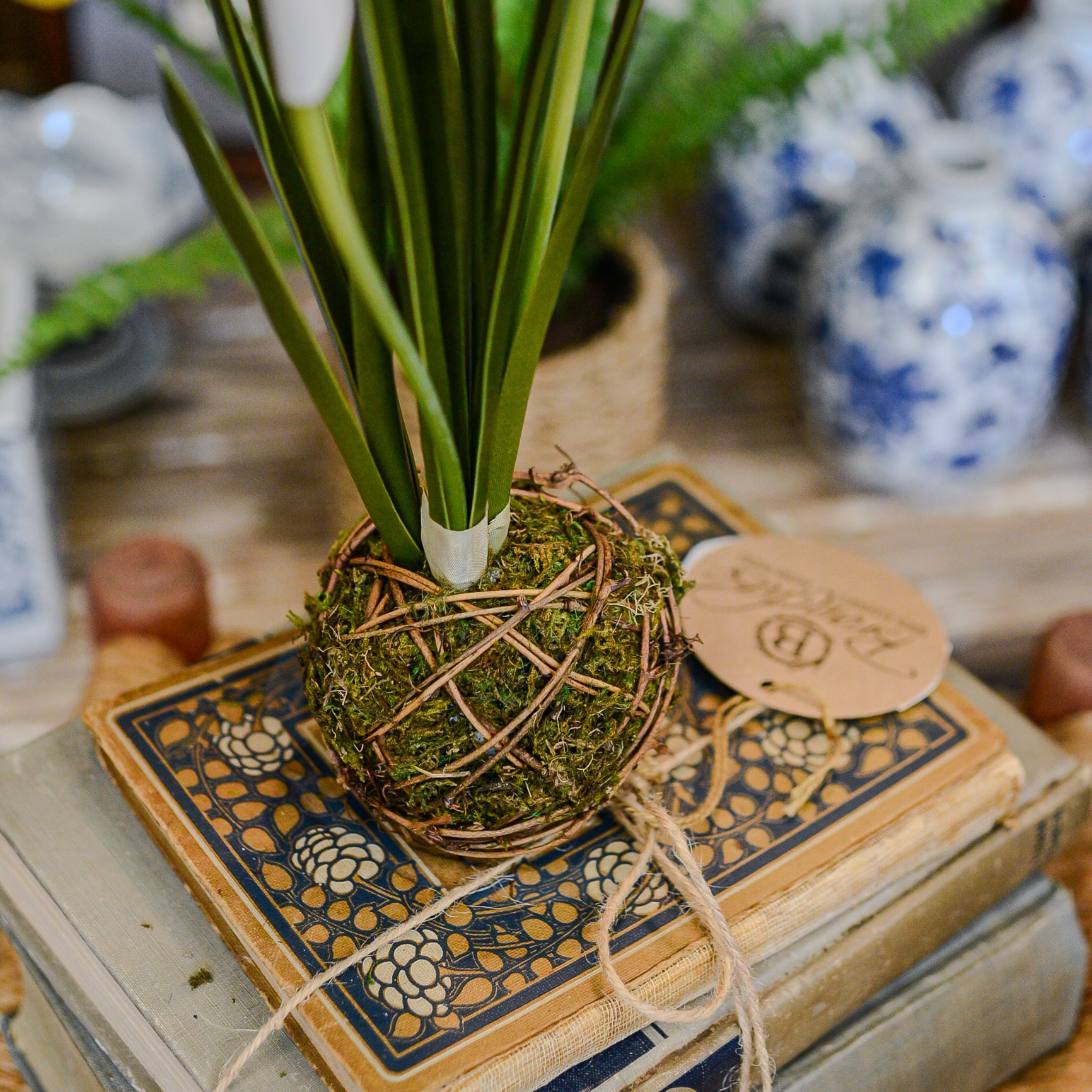 Yellow Paperwhite Daffodil Moss Ball Drop In