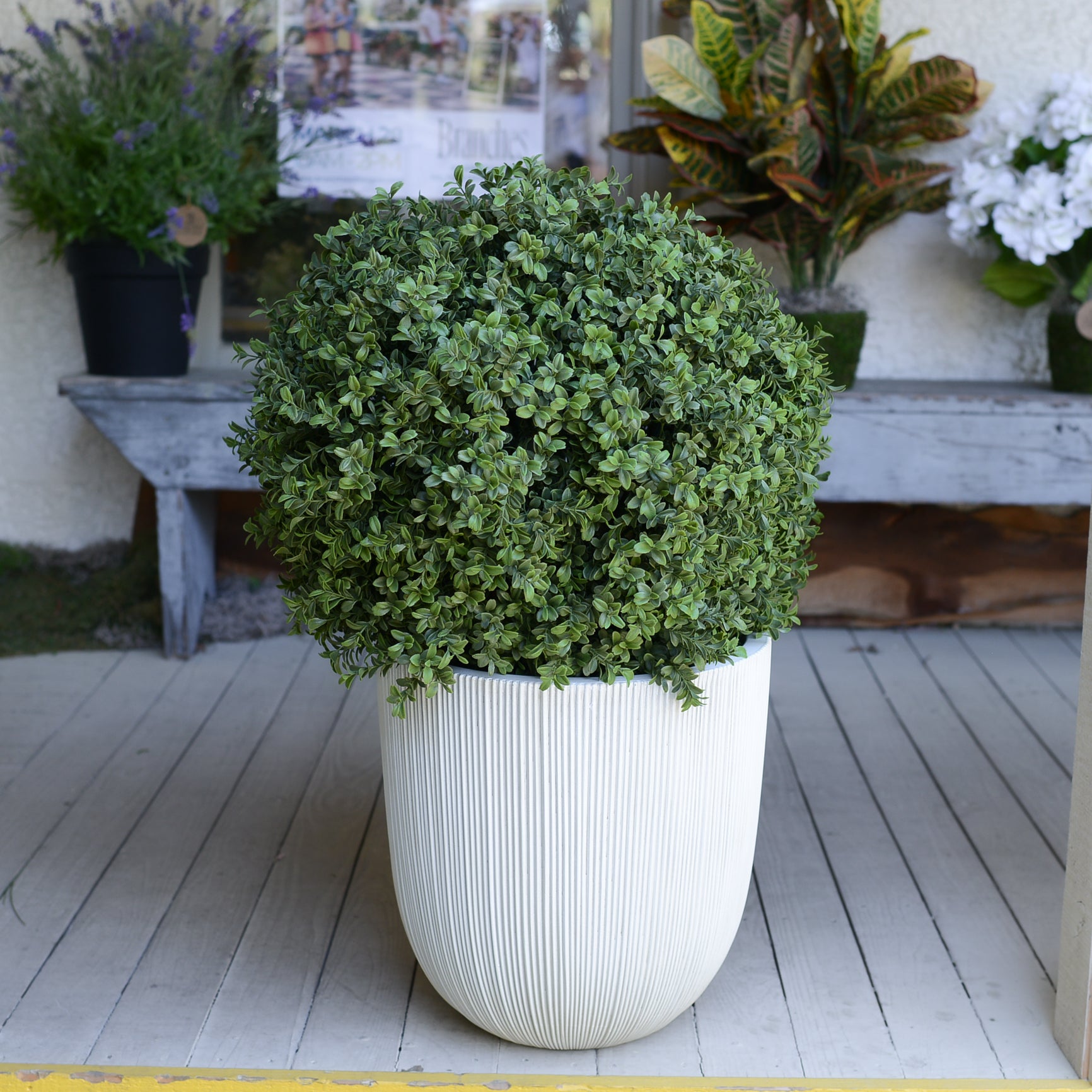 UV Boxwood Ball Topiary 34"H x 24"W