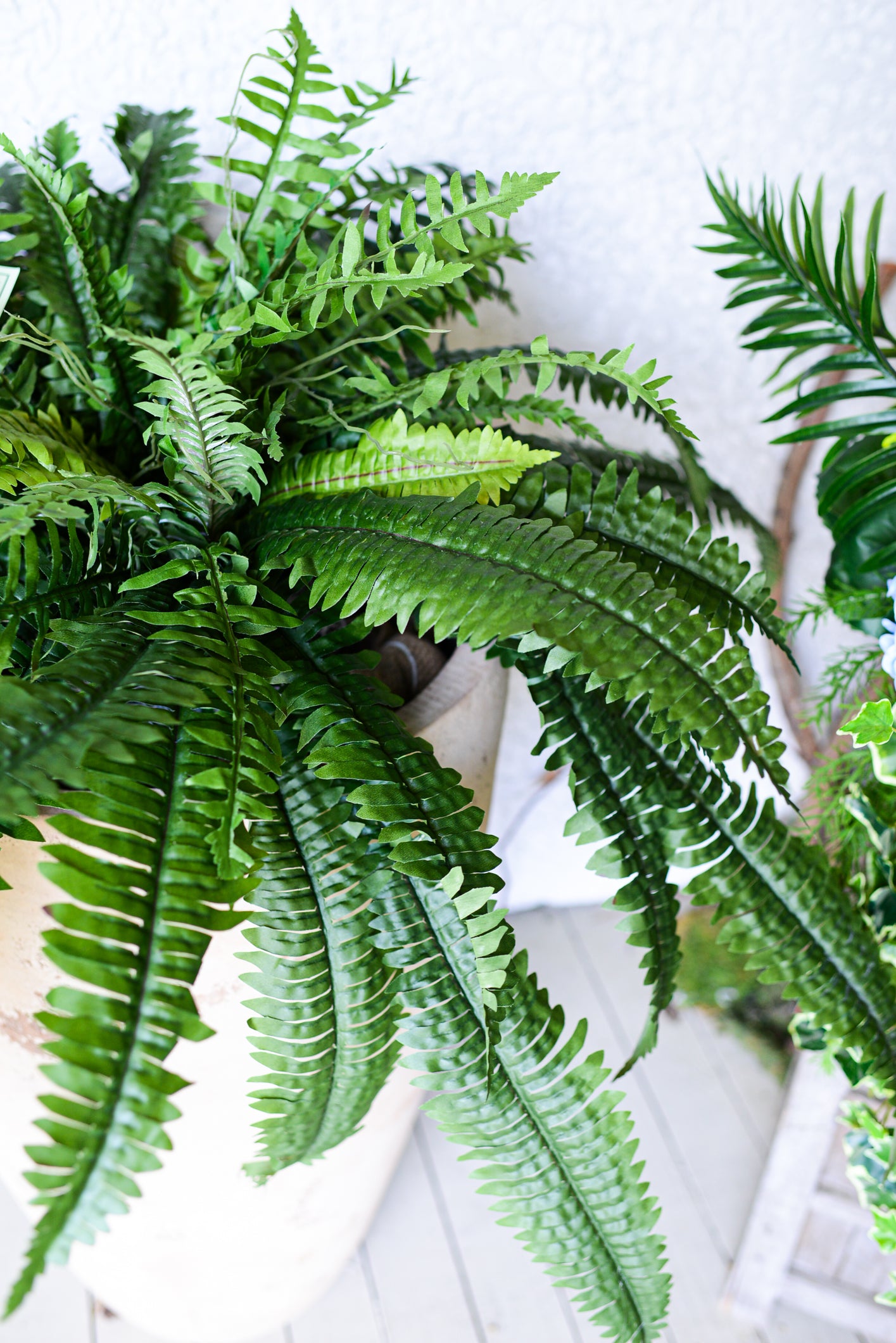 Boston Estate Fern UV Large Drop In