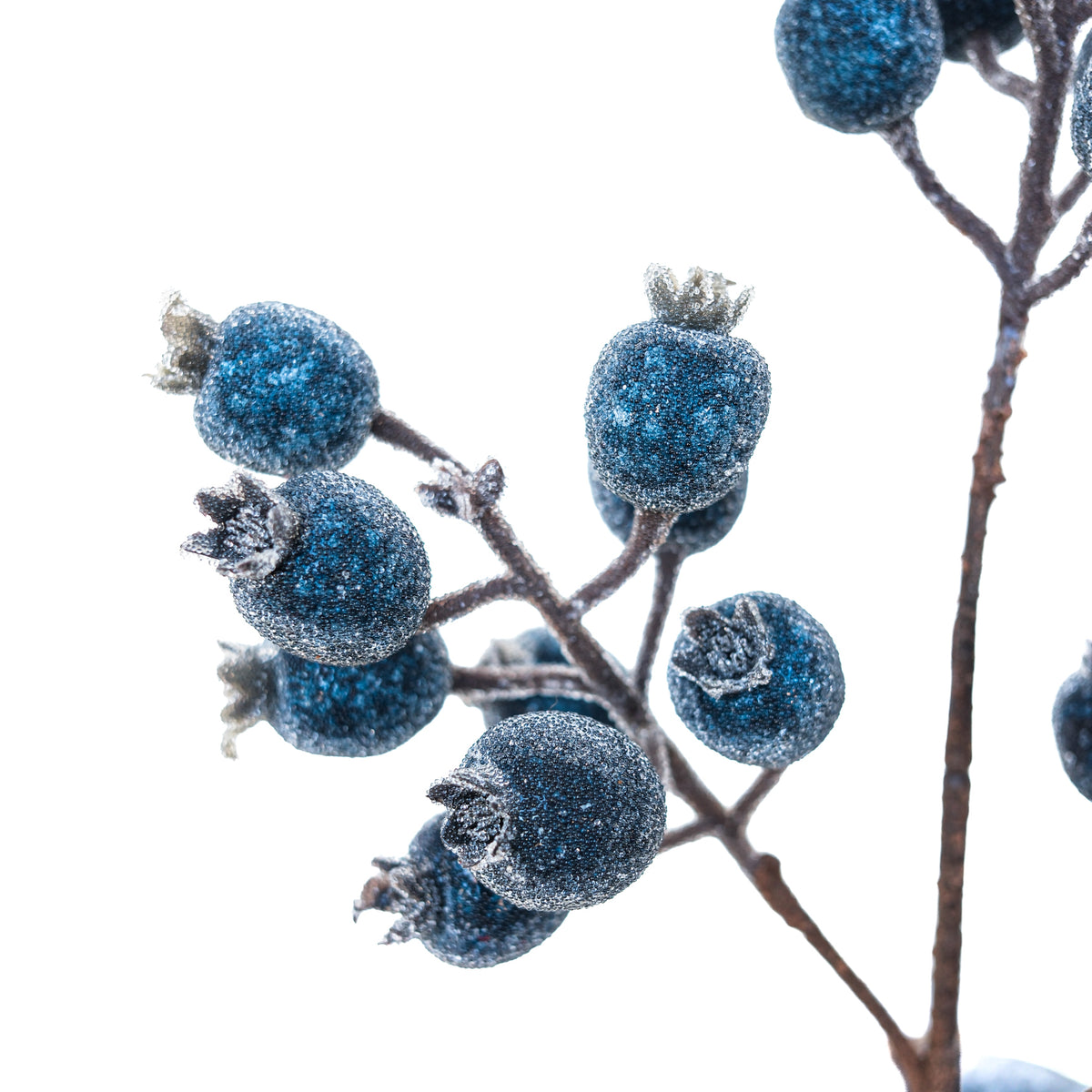 Icy Blue Pomegranate Berry Spray Weather Resistant